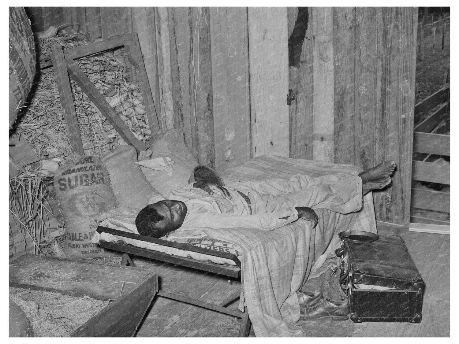 Migratory Berry Picker in Louisiana April 1939