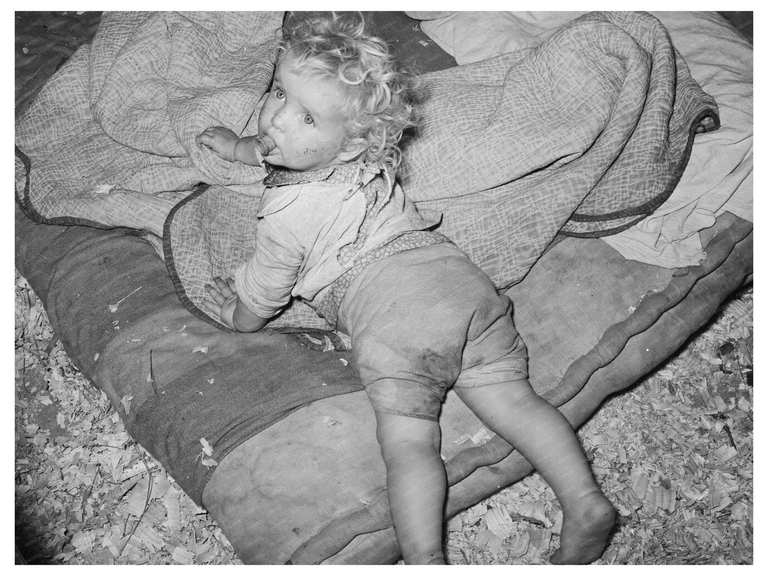 Migrant Child Resting in Tent Hammond Louisiana 1939
