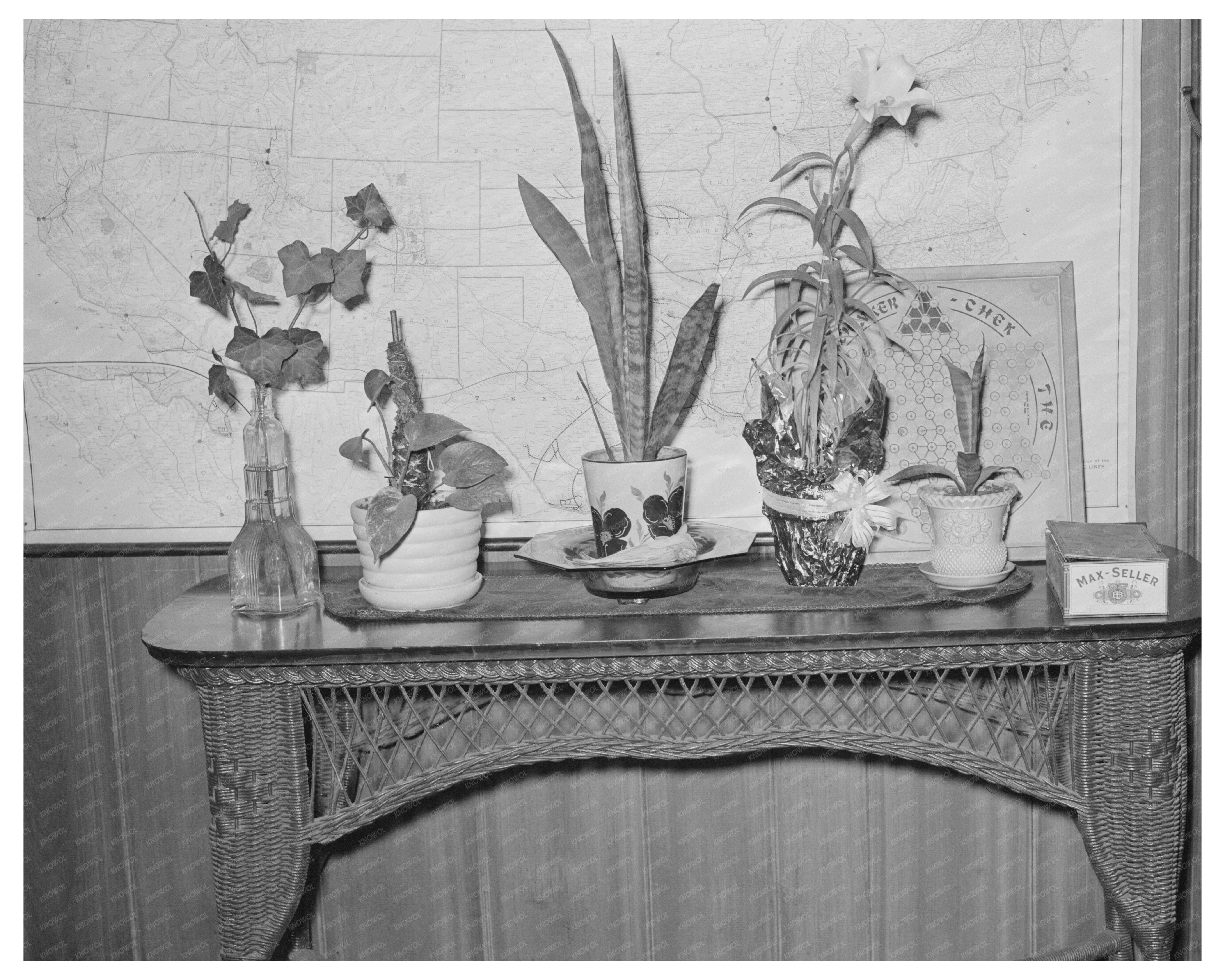 Vintage Flower Display in Hotel Lobby San Augustine 1939