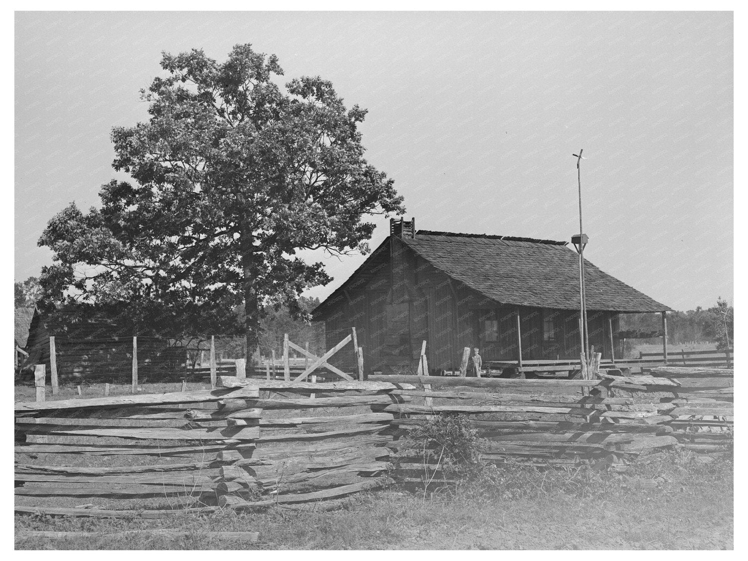 Farmstead in San Augustine County Texas April 1939