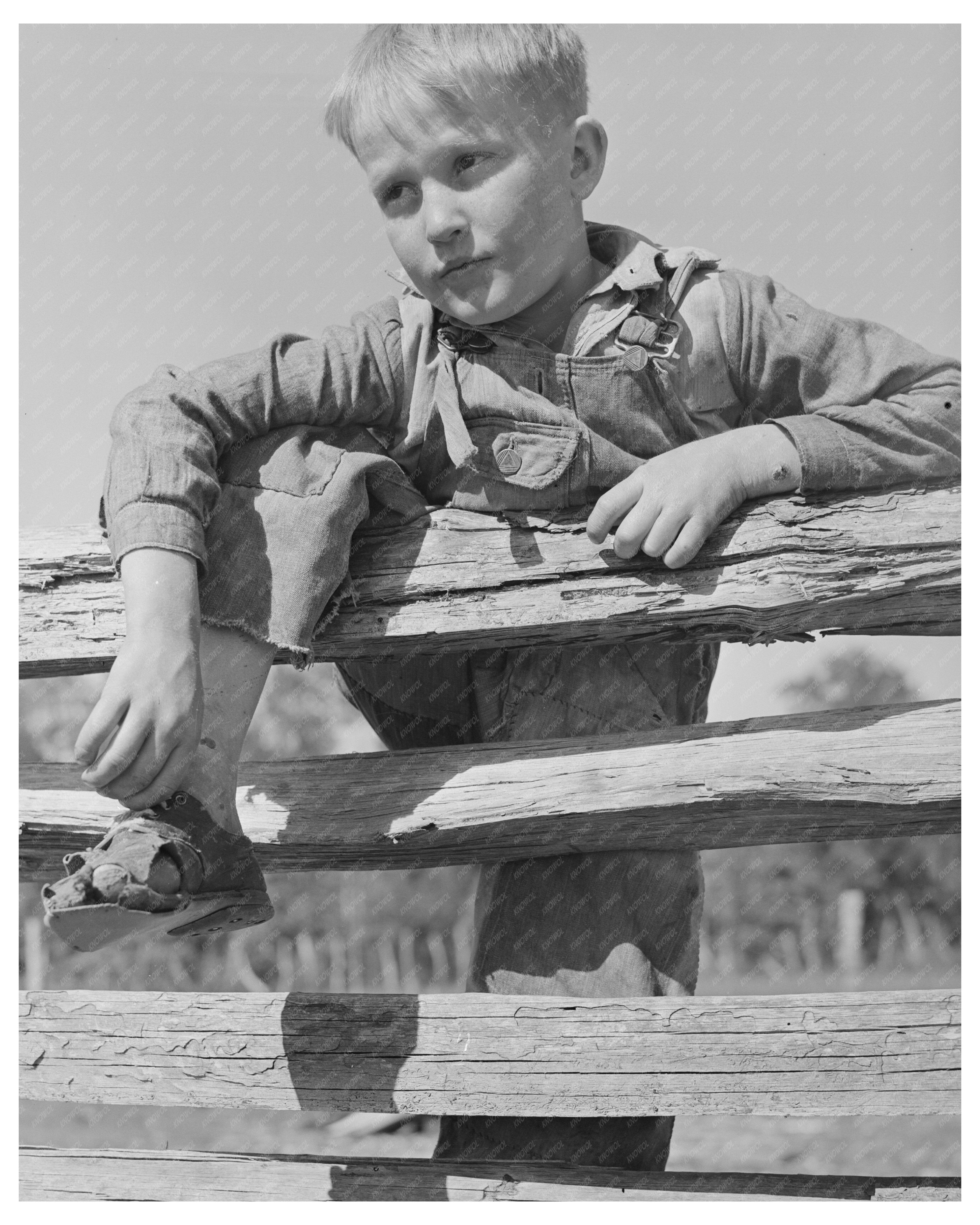 Farm Boy Resting on Fence San Augustine County Texas 1939