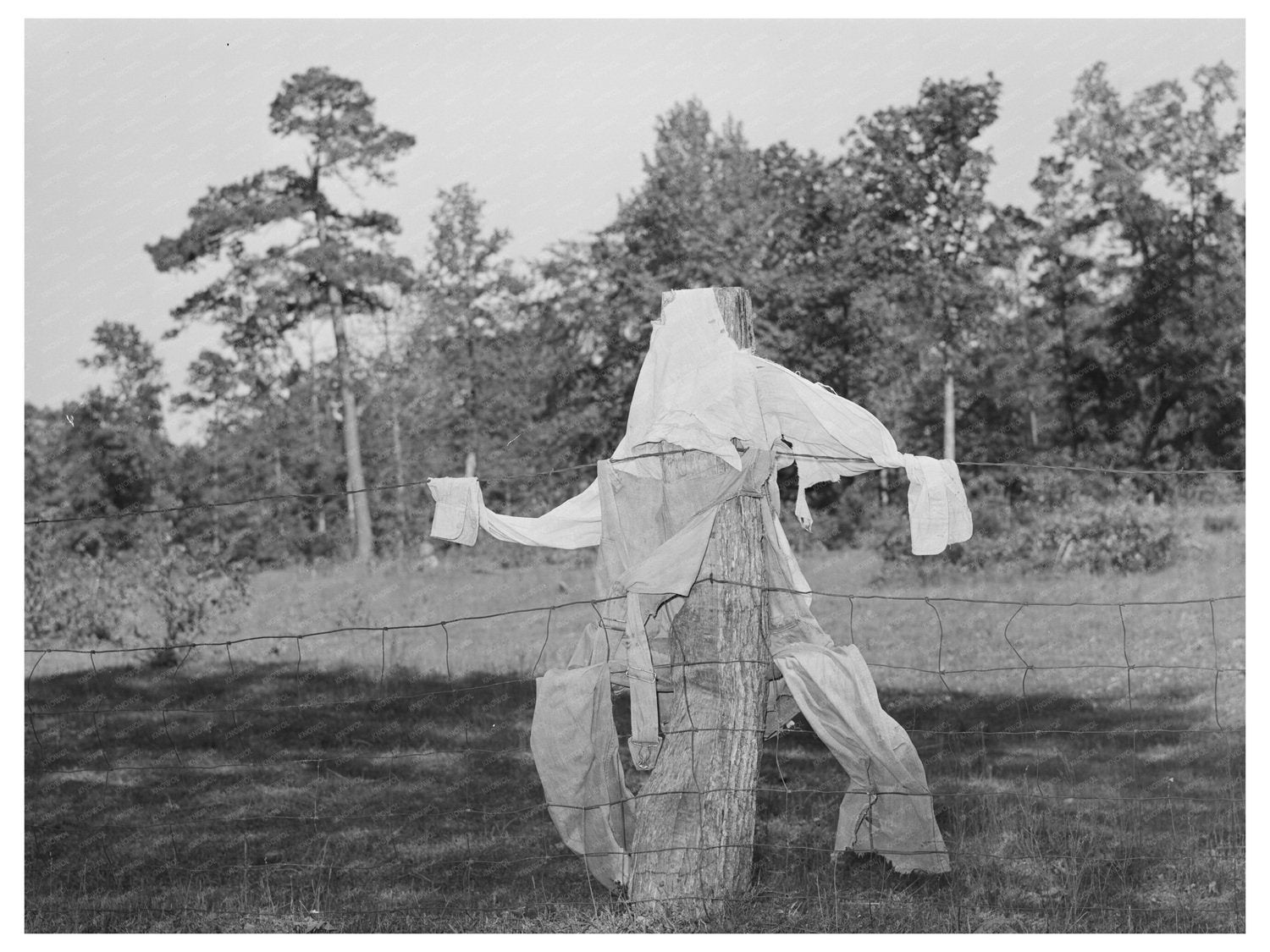Scarecrow on Farm in San Augustine County Texas 1939
