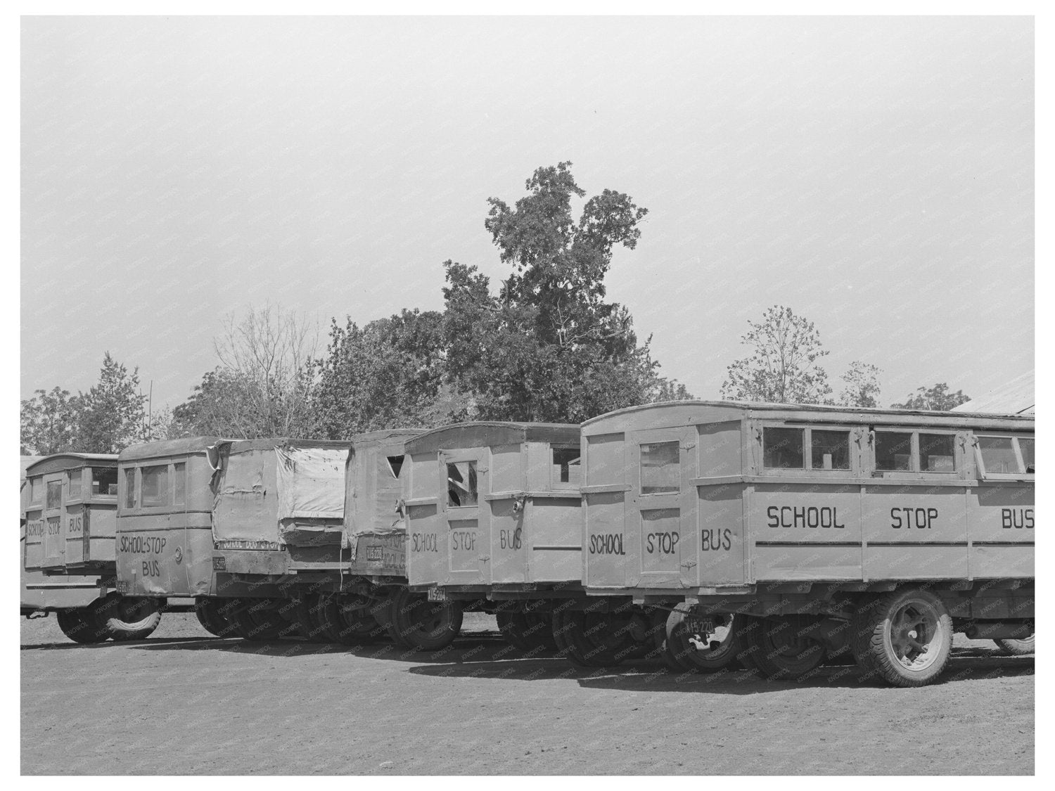 Vintage 1939 School Buses in Wells Texas