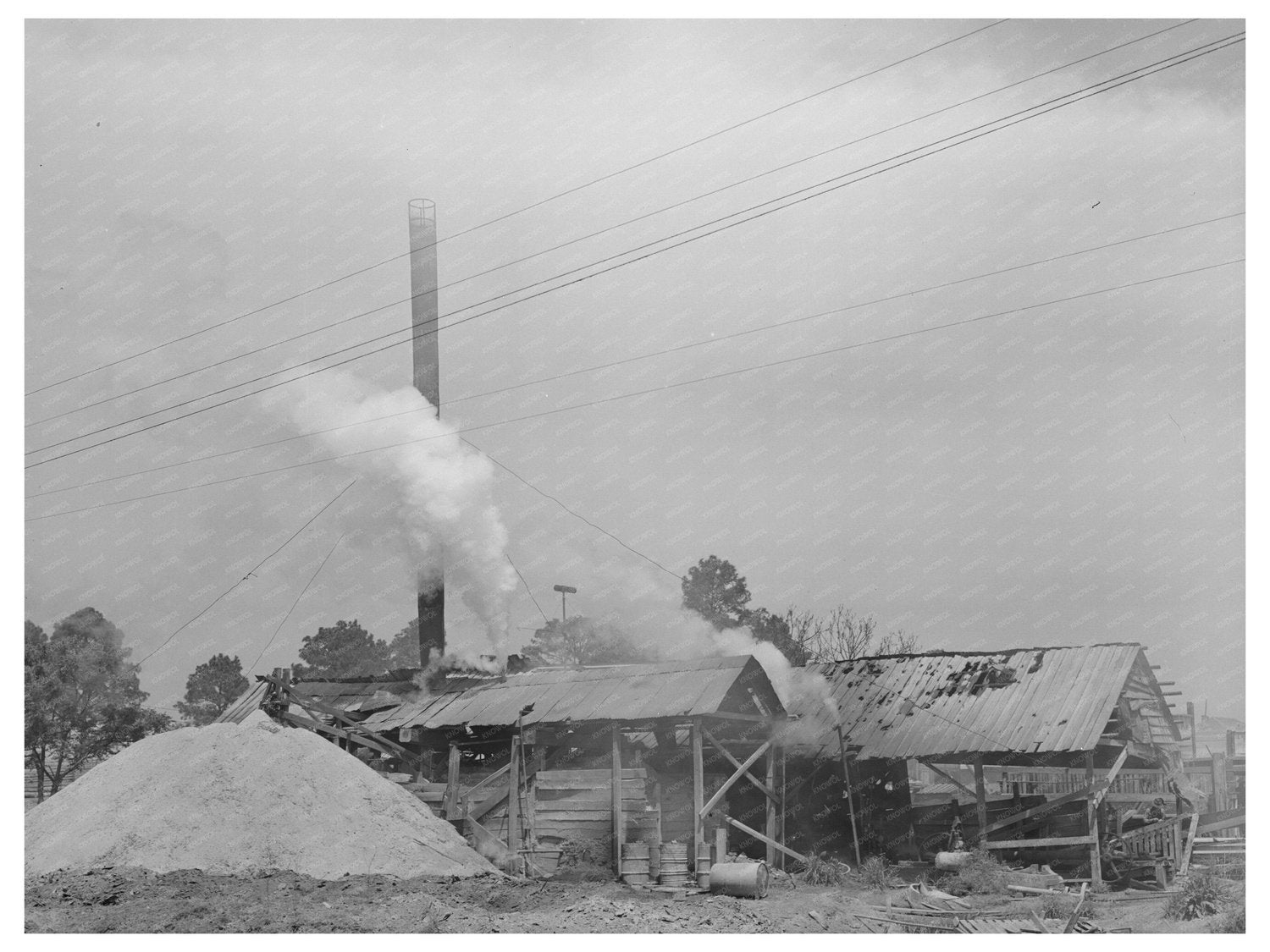 Wells Texas Sawmill Vintage Photo April 1939