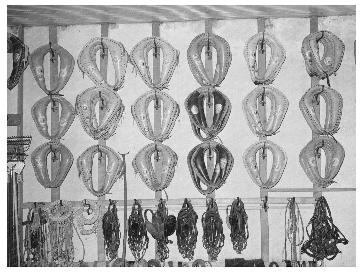 Horse Collars and Bridles in San Augustine Texas 1939