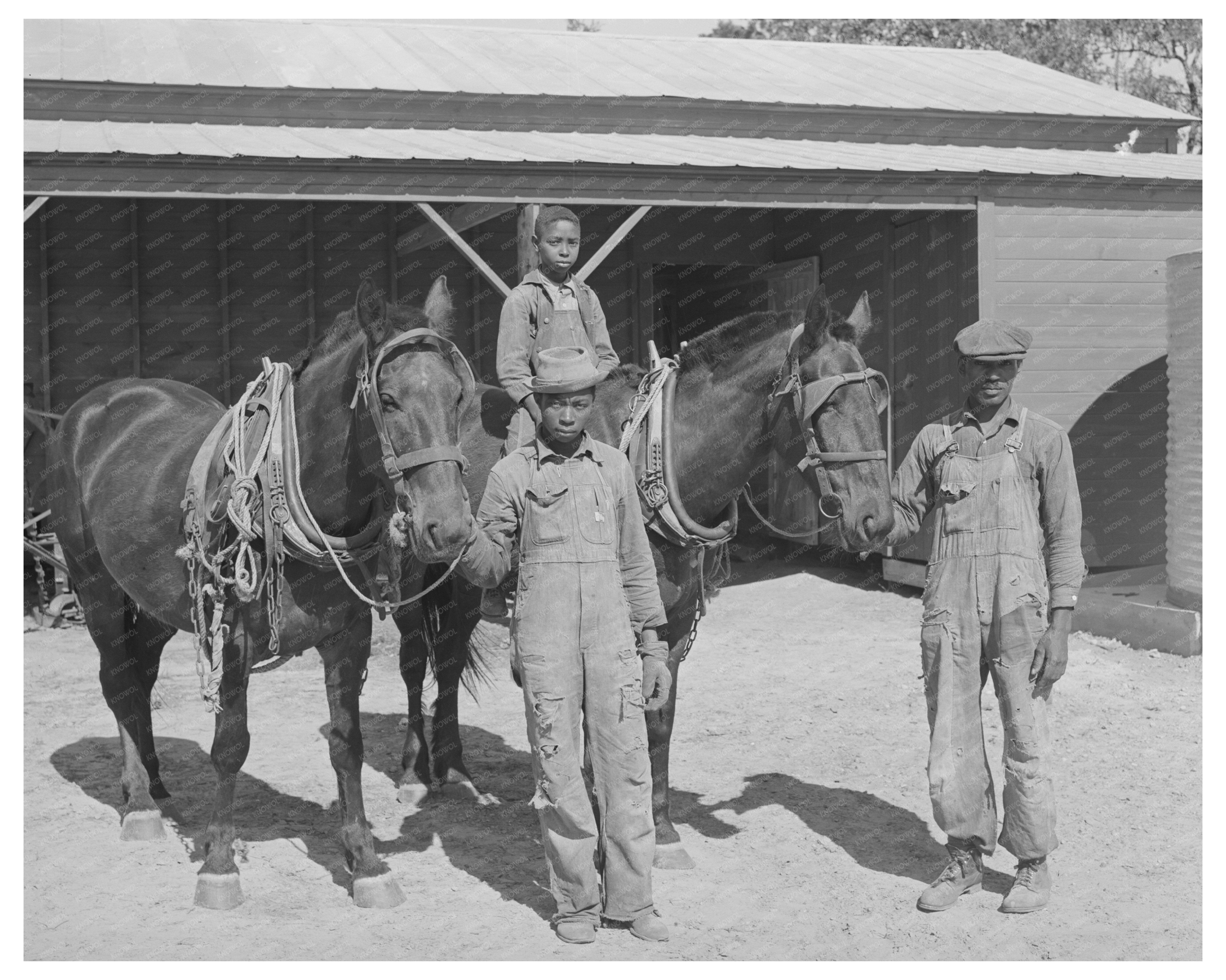 Farm Security Administration Clients with Horse Team 1939