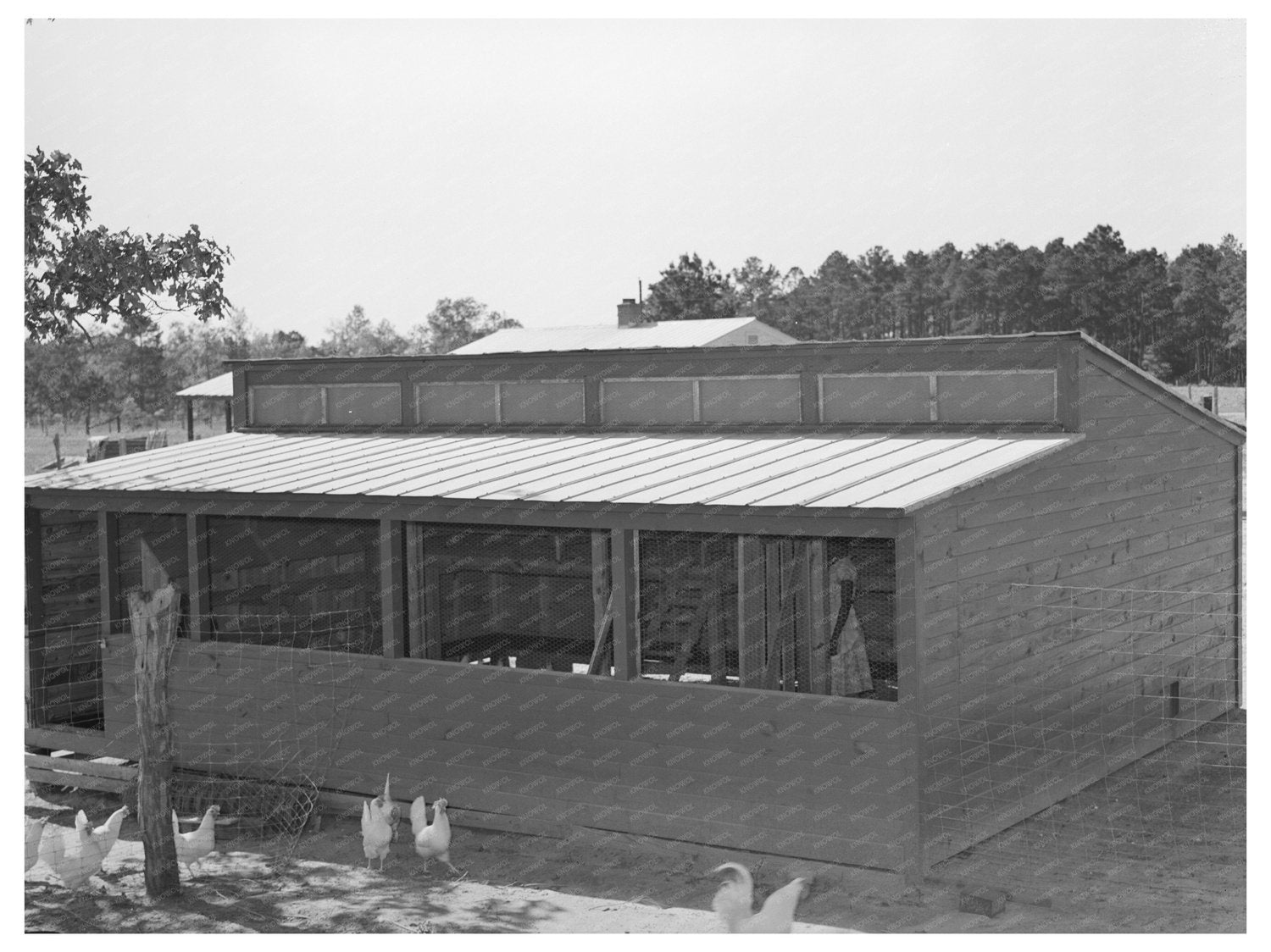 Vintage Chicken House Sabine Farms Marshall Texas 1939