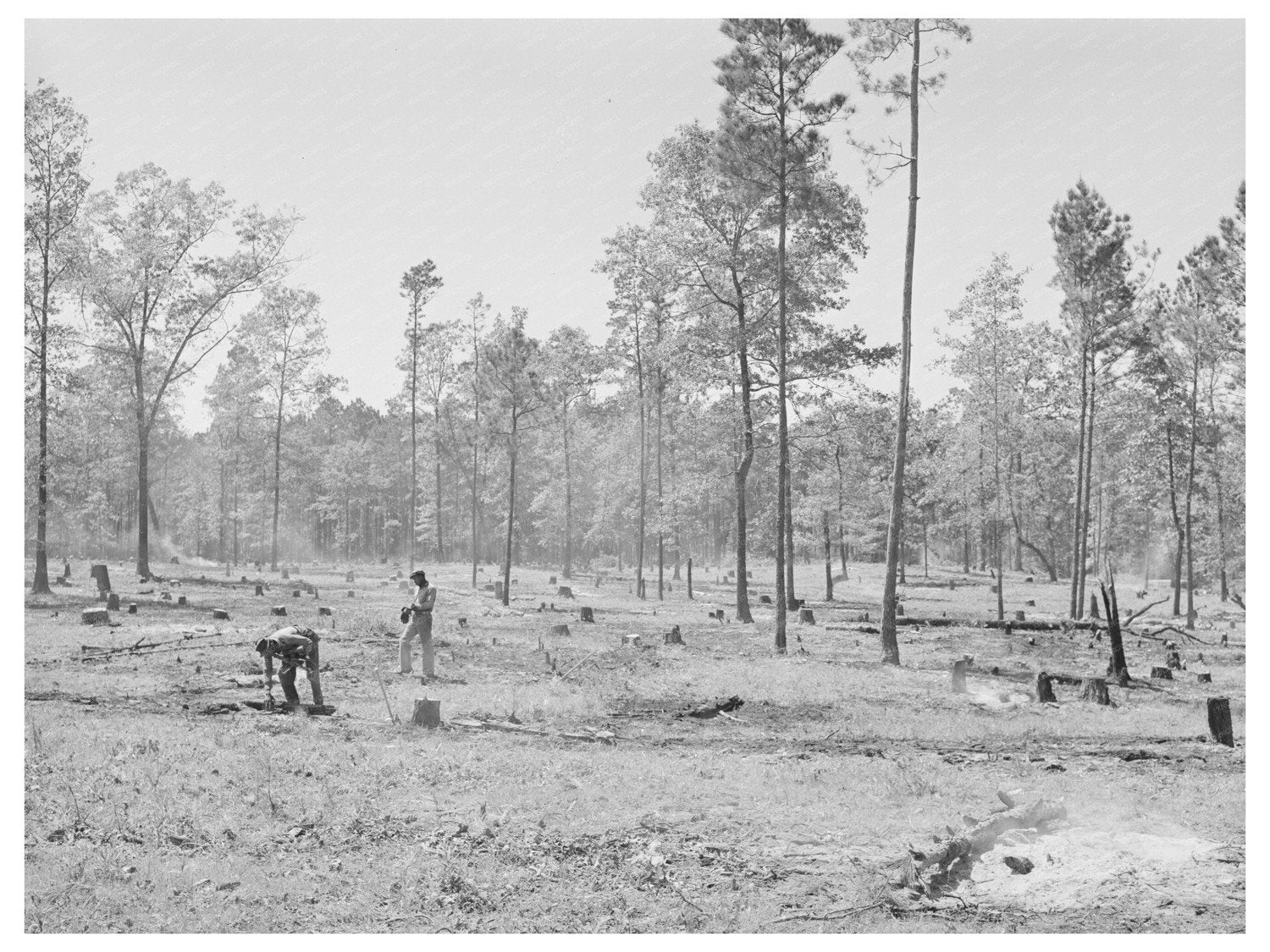 Sabine Farms Agricultural Workers Marshall Texas 1939