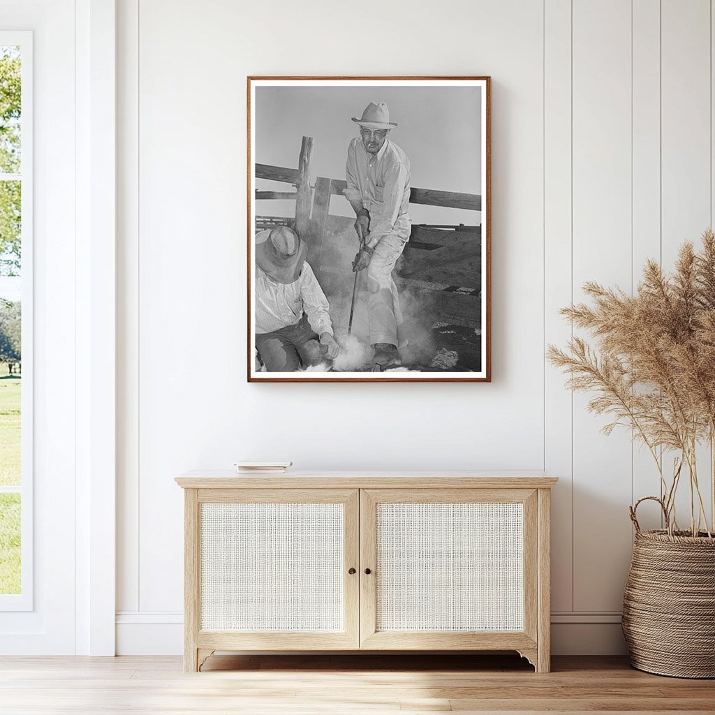 Walking X Ranch Branding Calf Marfa Texas May 1939