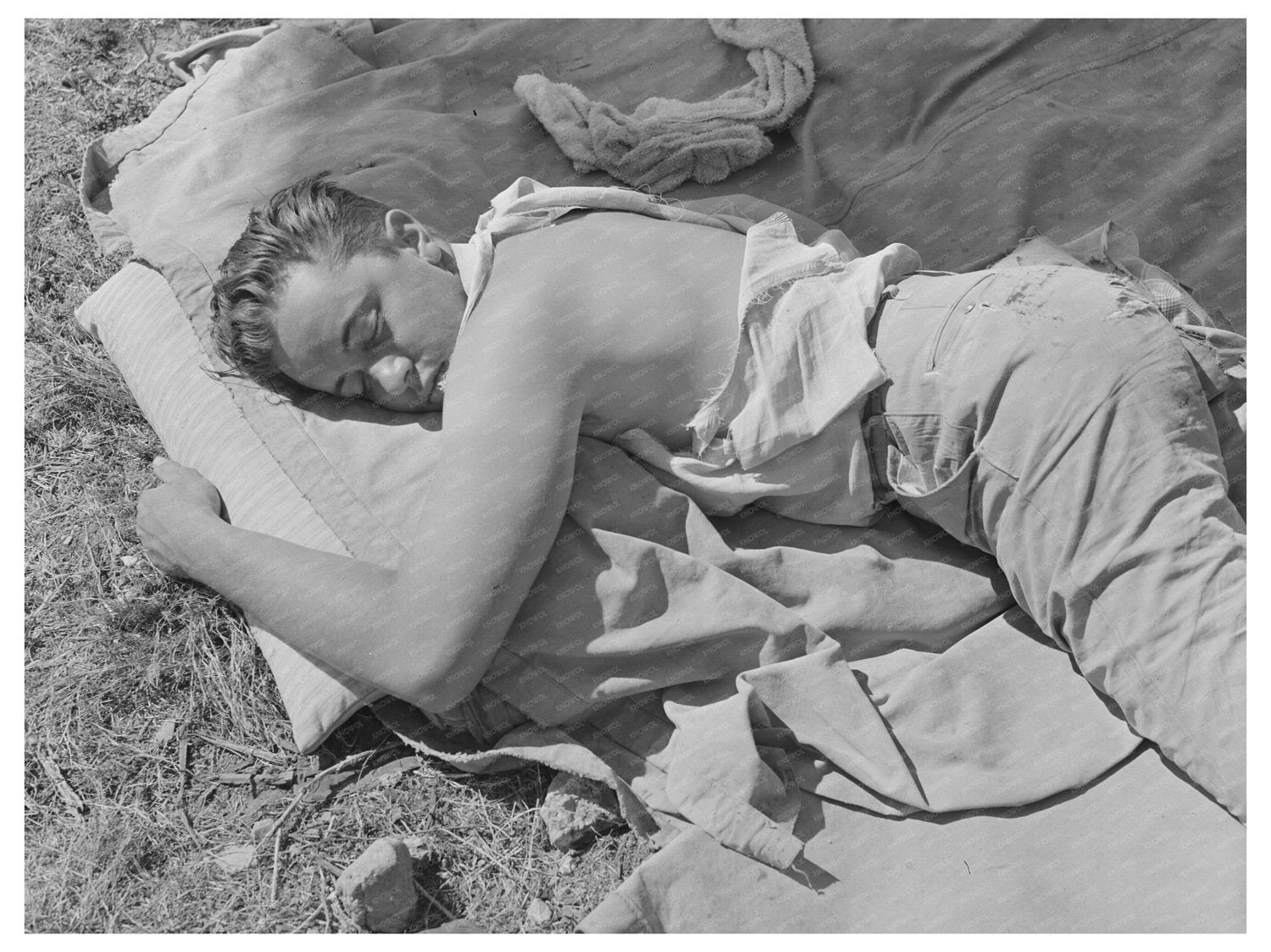 Young Boy Resting After Cattle Roundup May 1939