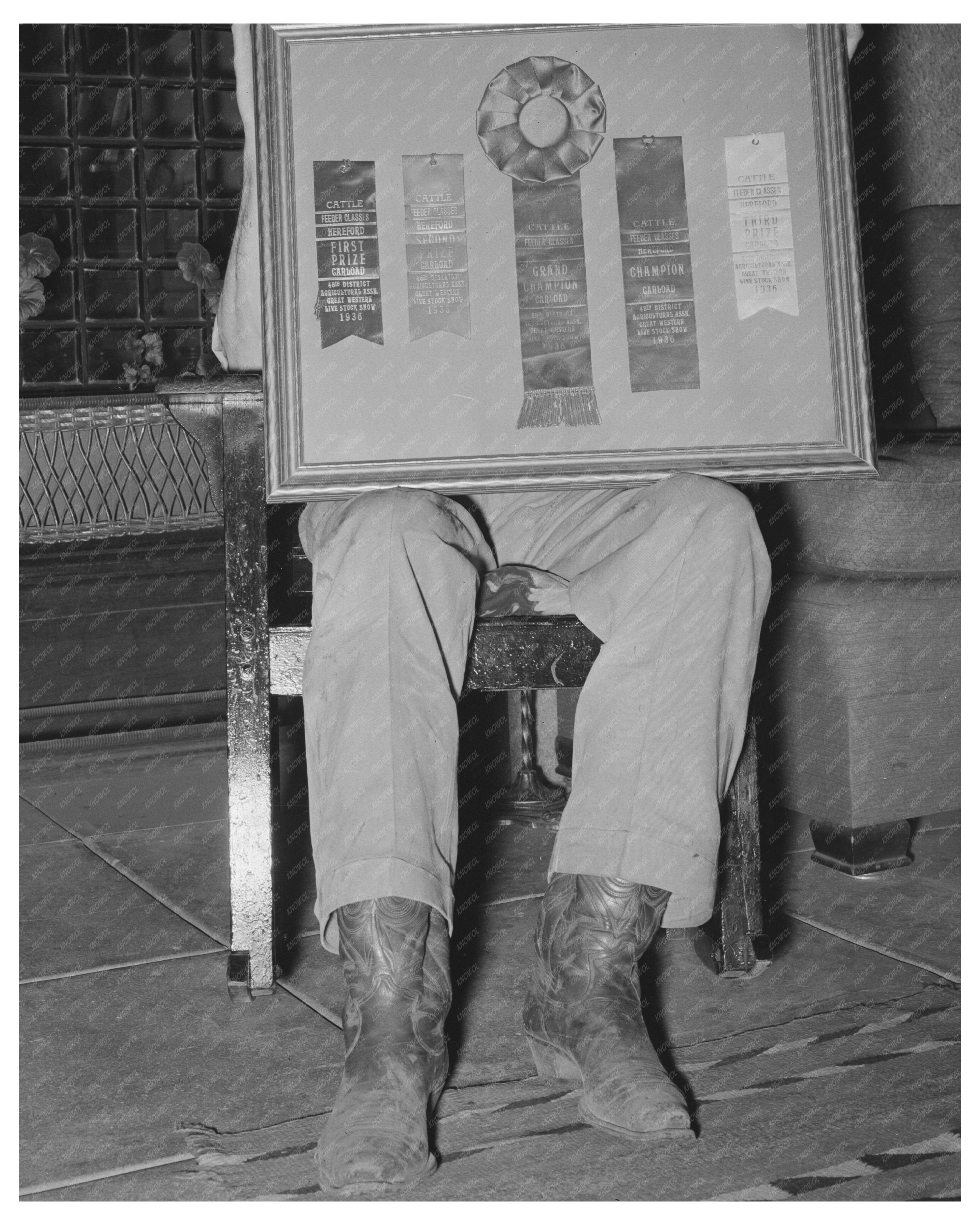Henry Fletcher with Cattle Awards Marfa Texas May 1939