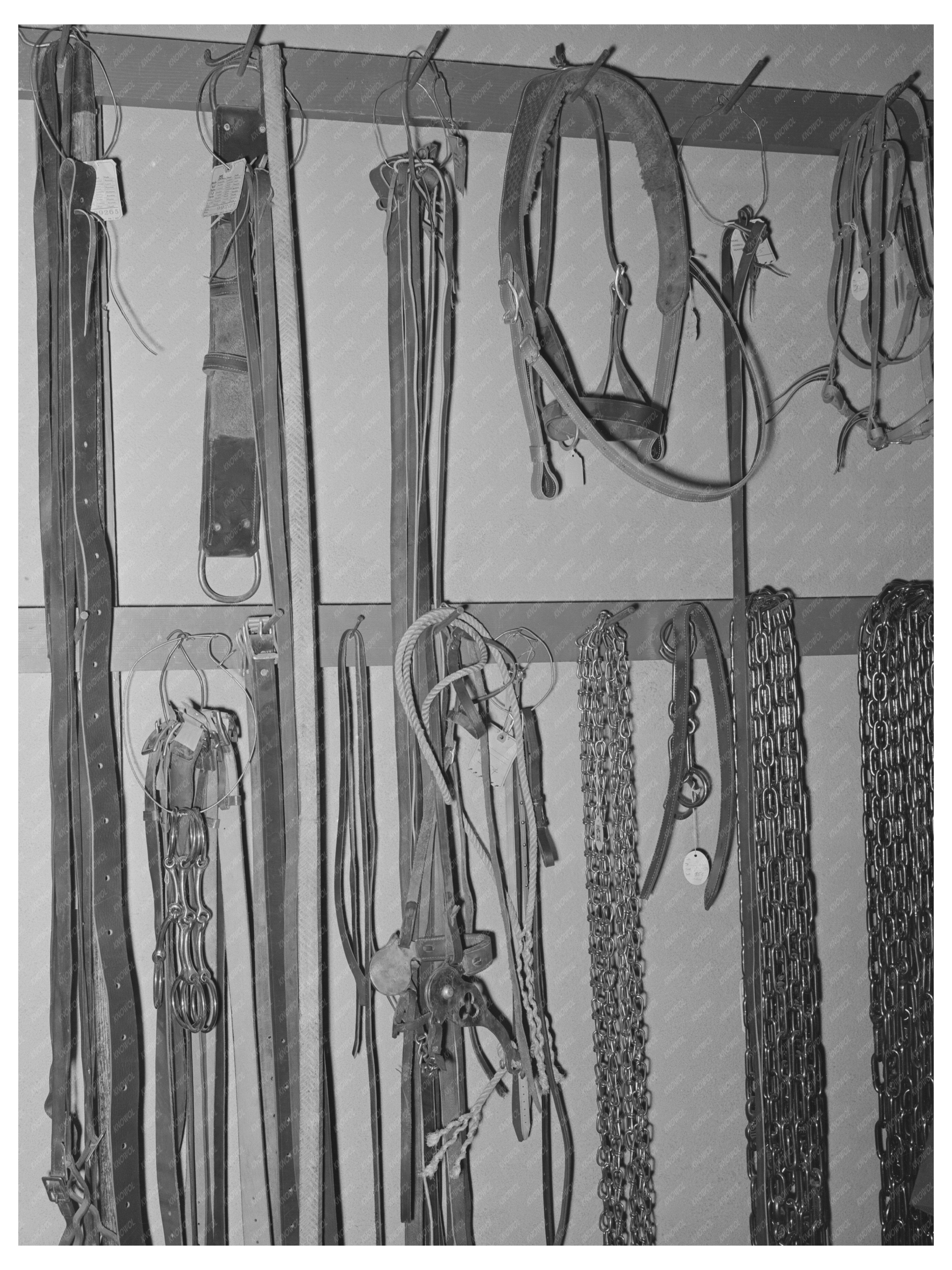 Ranch Supply Store Display in Alpine Texas May 1939