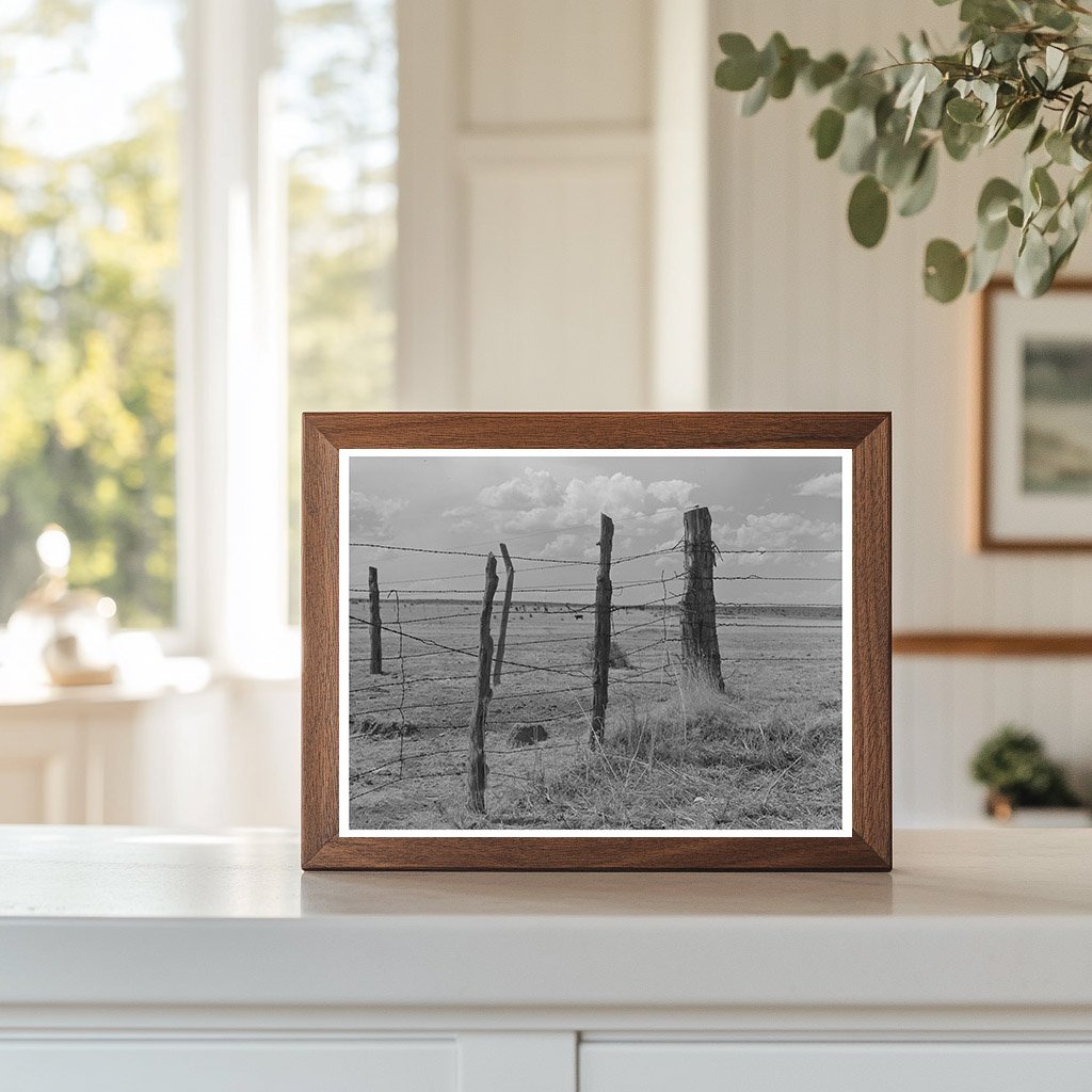 Fence Construction at Walking X Ranch Marfa Texas 1939