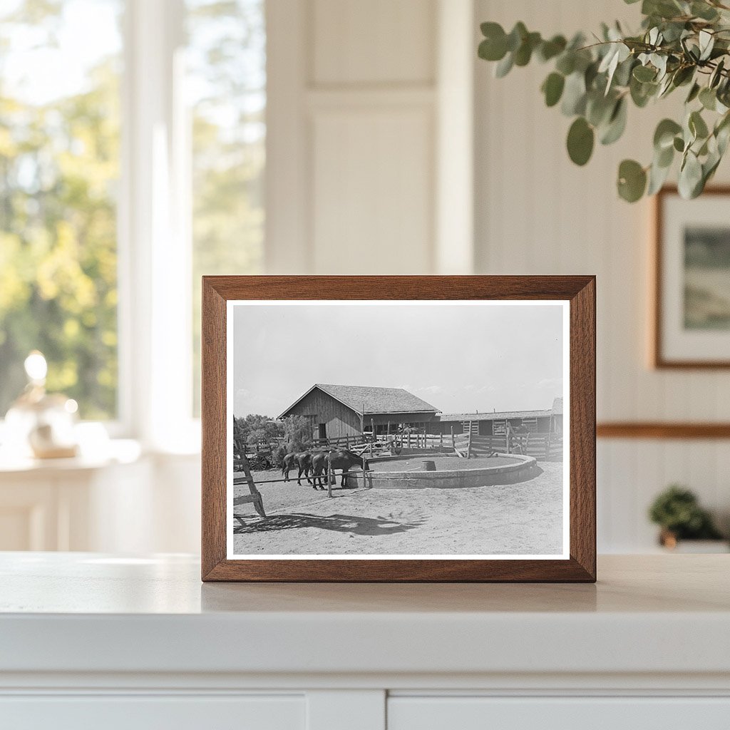 Watering Trough and Barns at SMS Ranch Spur Texas 1939