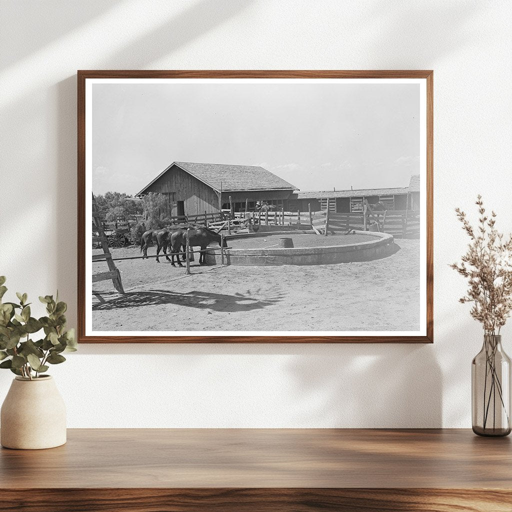 Watering Trough and Barns at SMS Ranch Spur Texas 1939