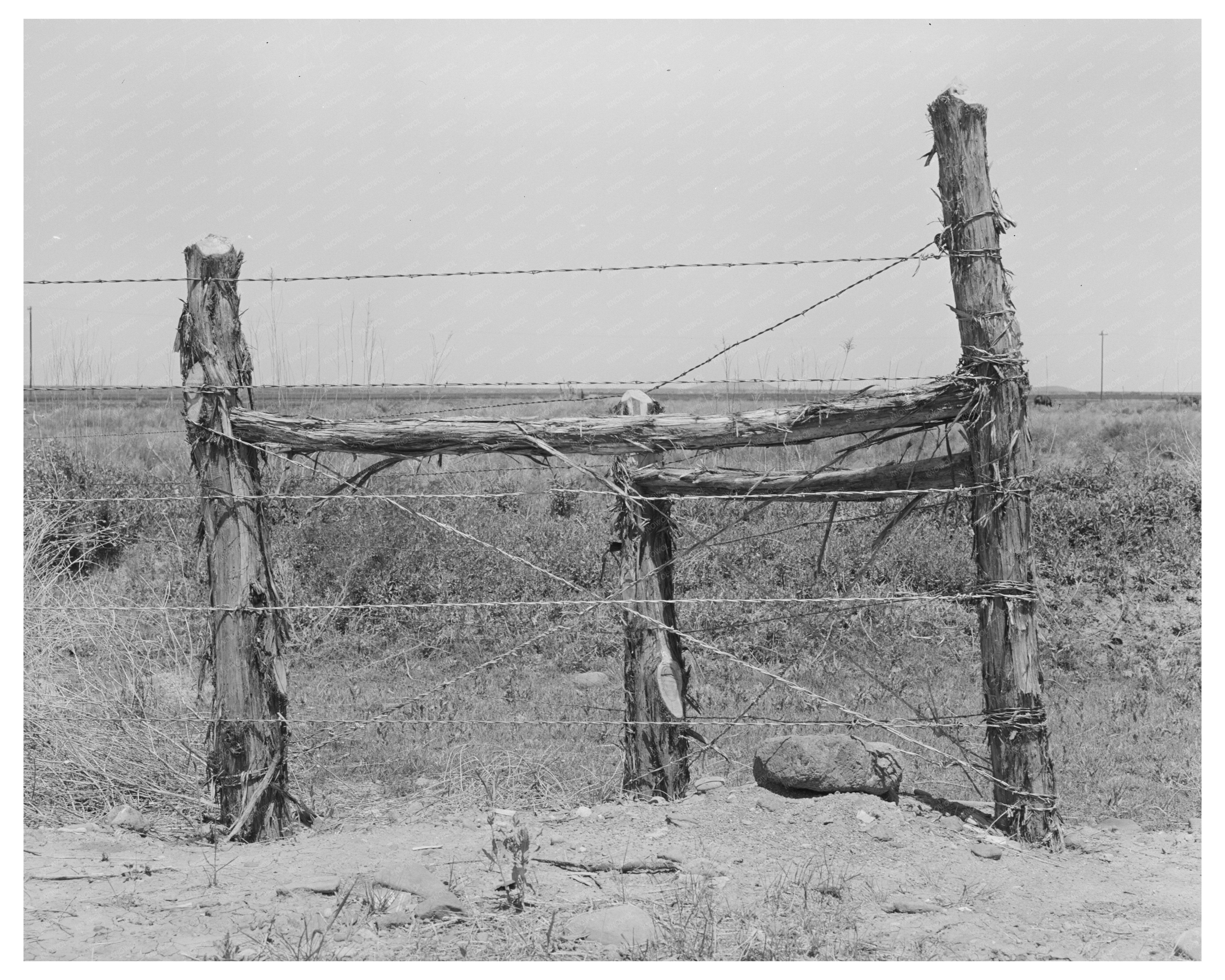 Vintage Corner Post Fence Construction Balmorhea Texas 1939