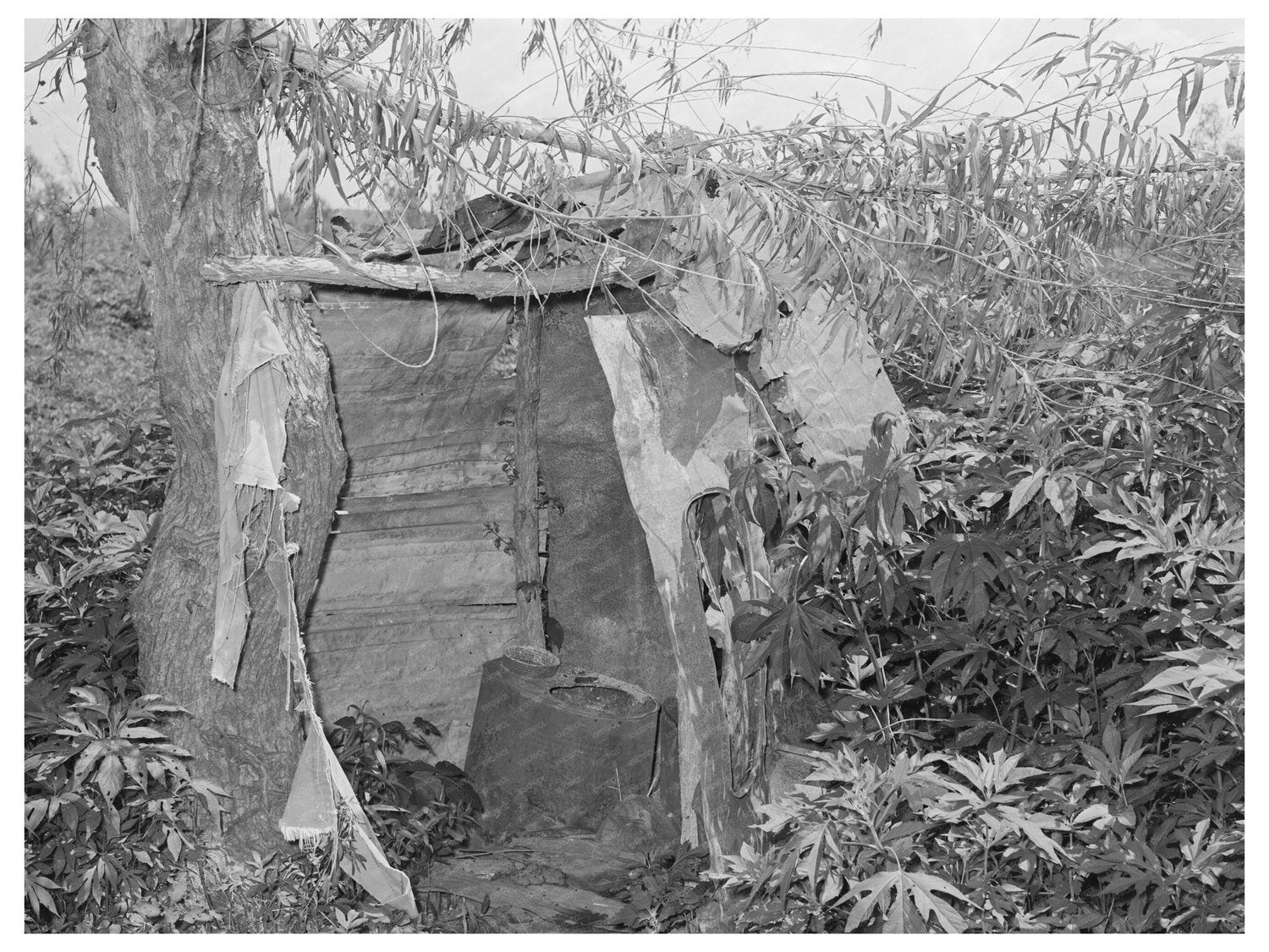 1939 Vintage Image of Agricultural Laborer Privy Oklahoma