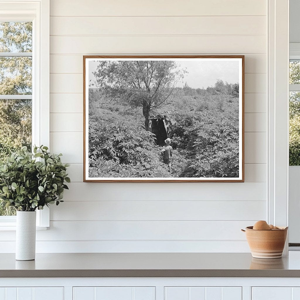 Young Boy by Privy Near Arkansas River June 1939
