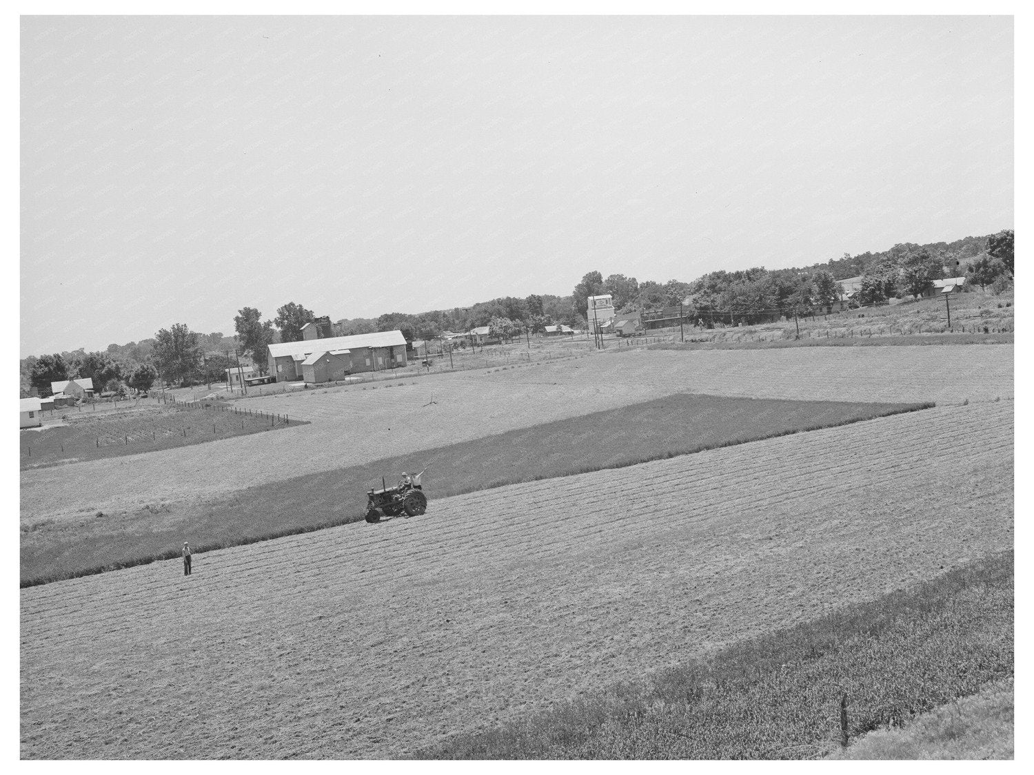 Tractor Cutting Alfalfa in Lincoln County Oklahoma 1939