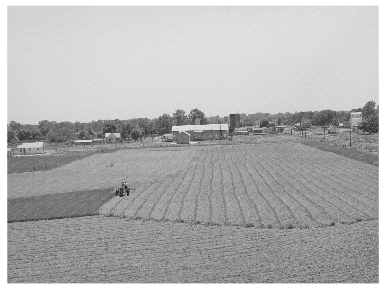 Cutting Alfalfa Field with Tractor in Lincoln County 1939