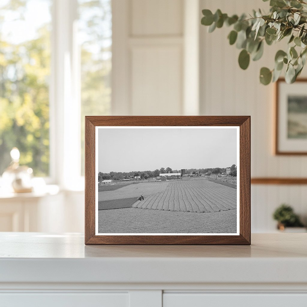 Cutting Alfalfa Field with Tractor in Lincoln County 1939
