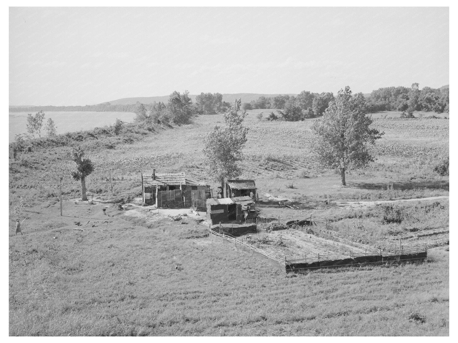 Day Laborers along Arkansas River June 1939 Oklahoma