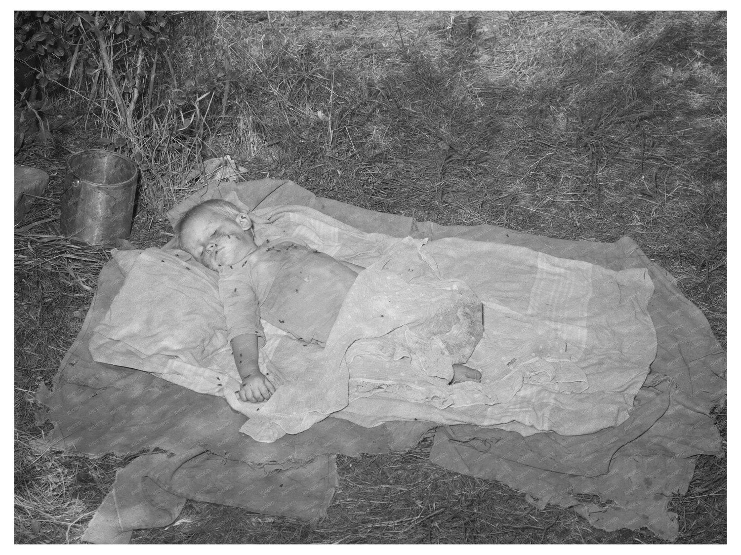 1939 Baby Sleeping on Ground in Oklahoma Labor Camp