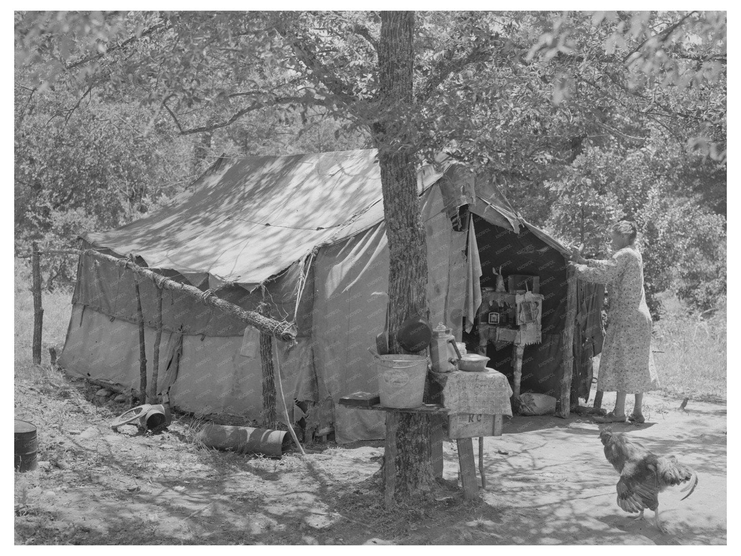 Elderly Couple Living in Tent Home Oklahoma 1939
