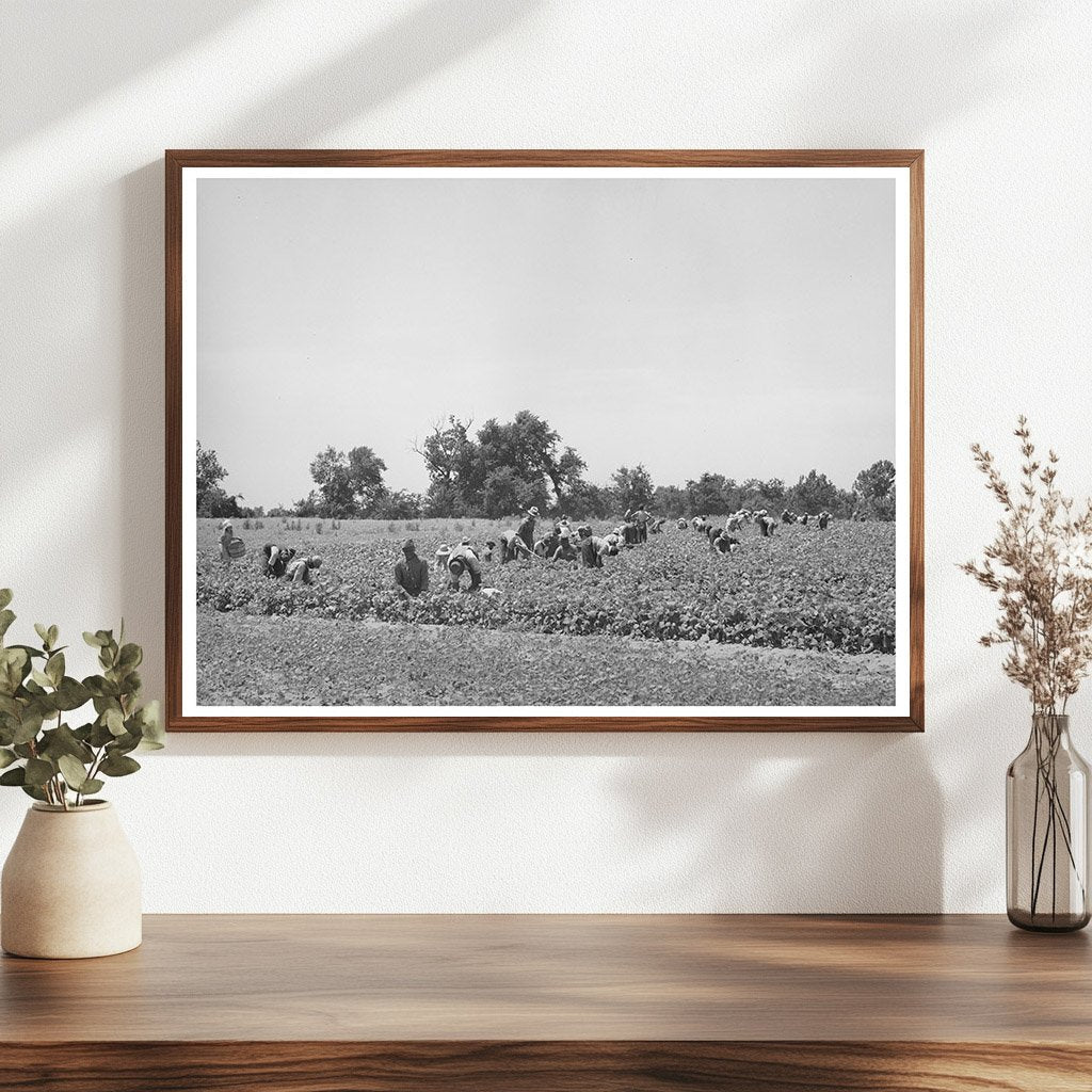 Stringbean Picker in Muskogee Oklahoma June 1939