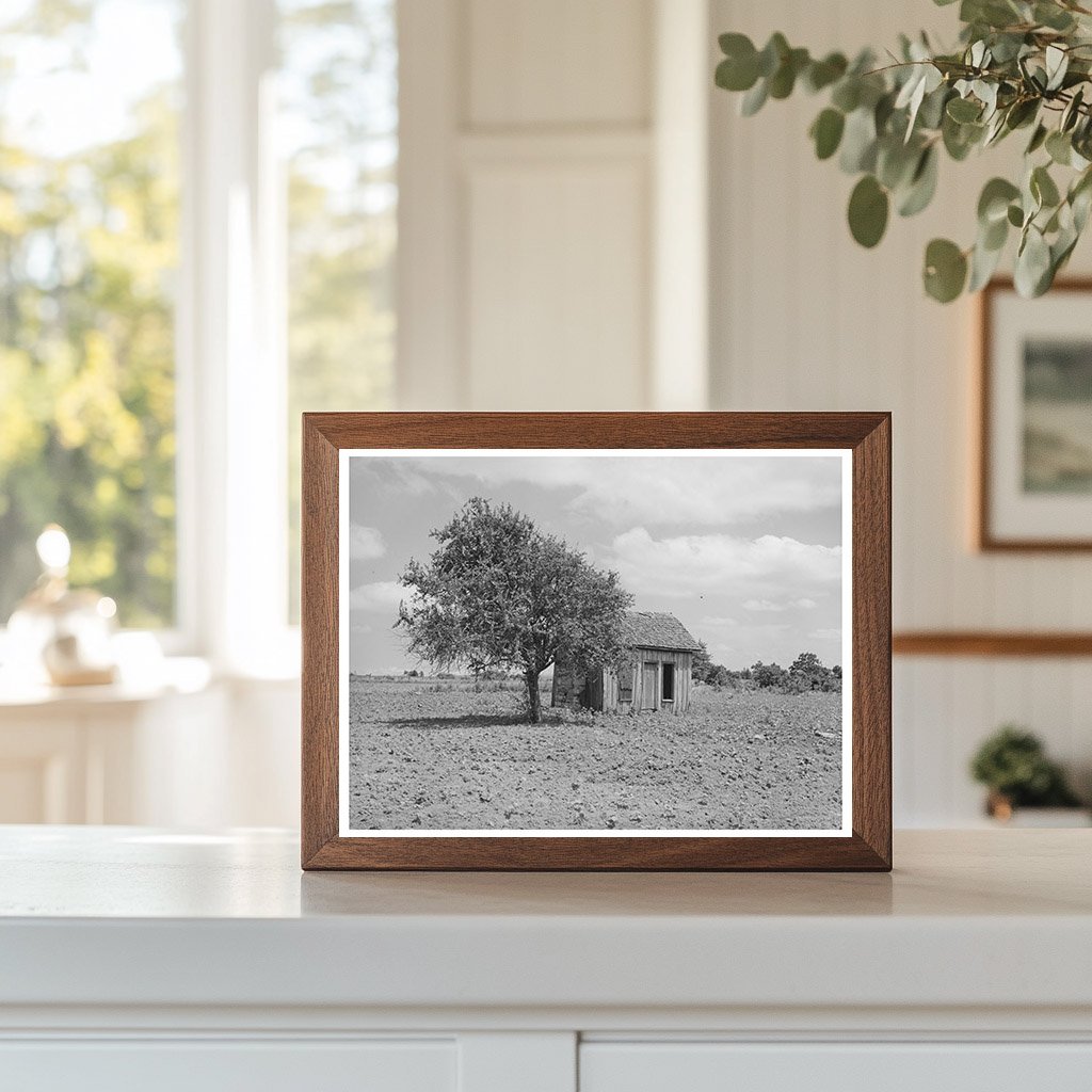 Abandoned Farmhouse in Muskogee County Oklahoma 1939