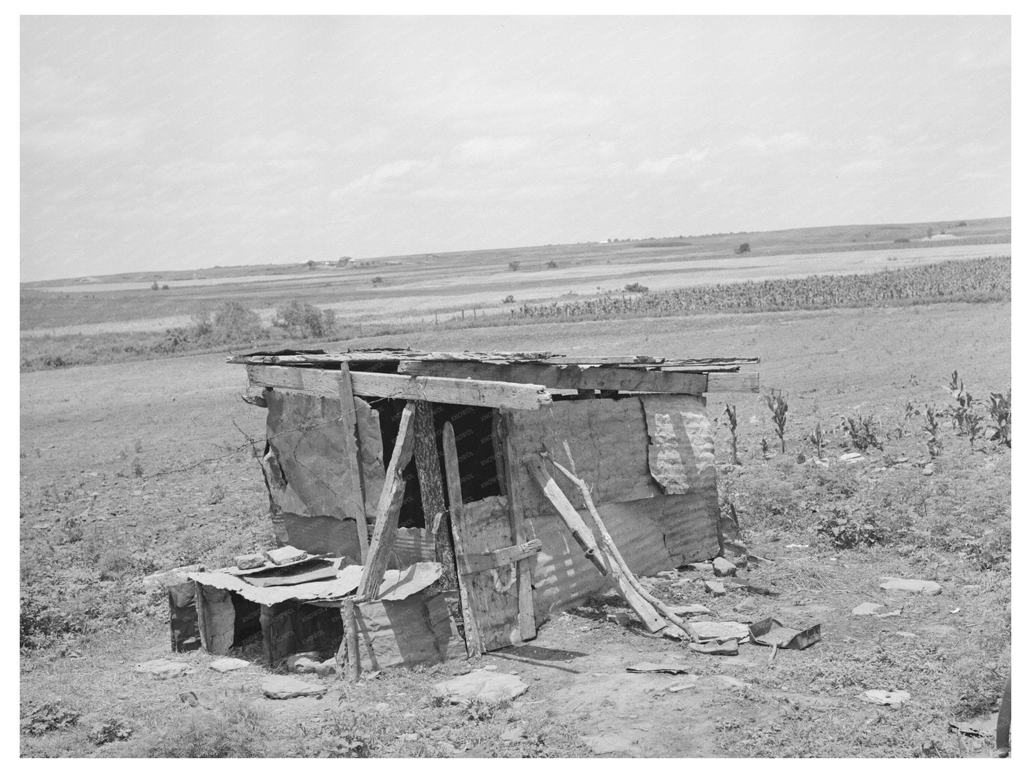 Abandoned Farm in Muskogee County Oklahoma 1939