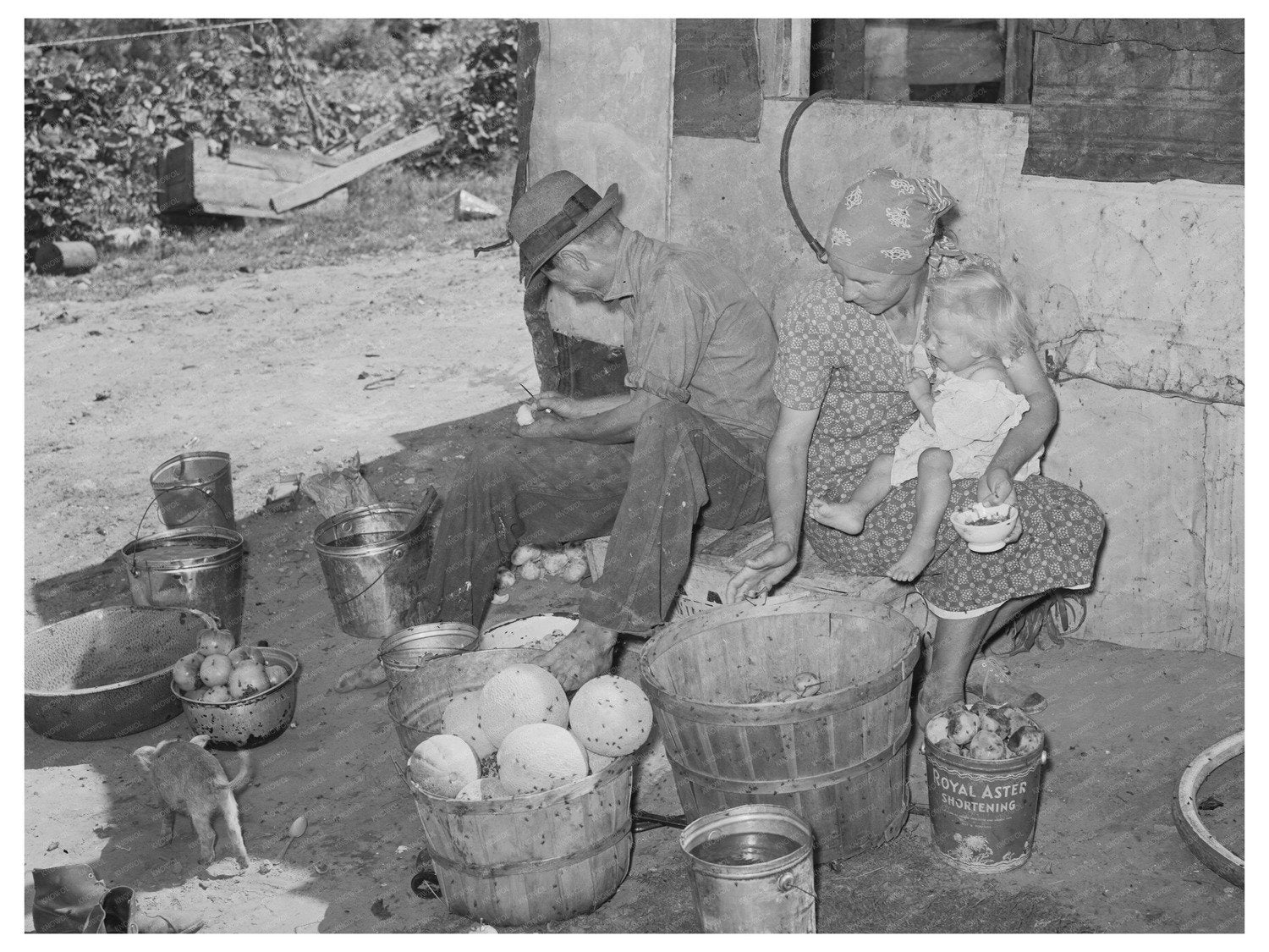 Family Sorting Overripe Fruit in Oklahoma City 1939
