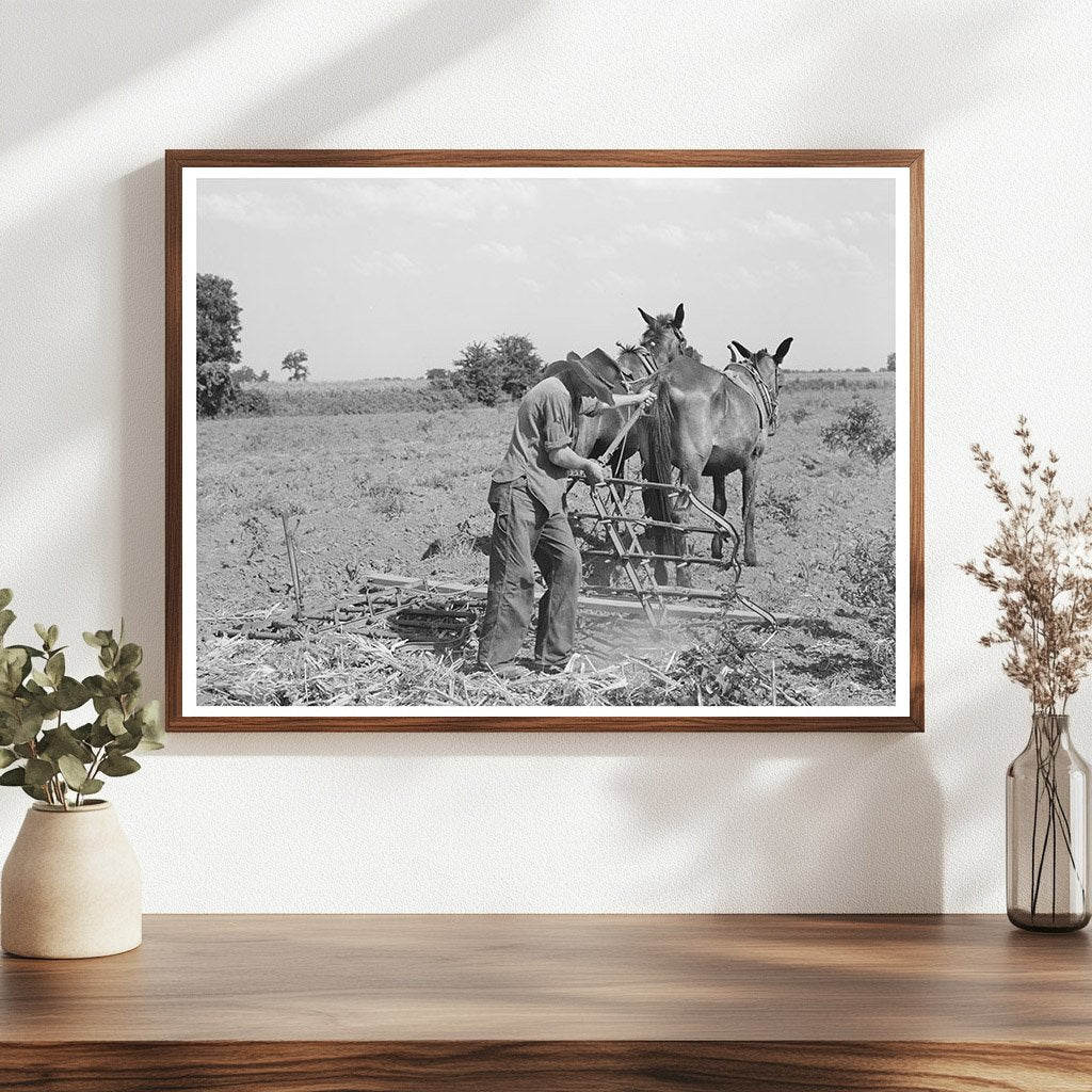 Tenant Farmer Adjusts Harrow Muskogee Oklahoma July 1939