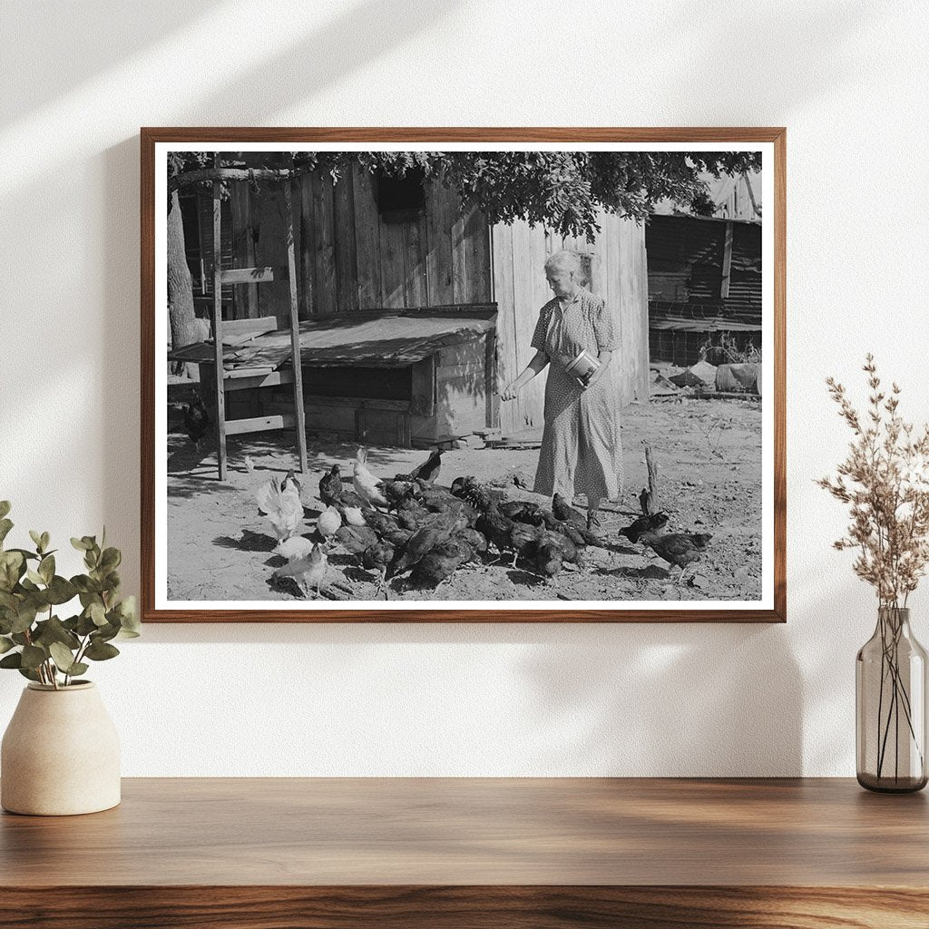 Tenant Farmers Wife Feeding Chickens Muskogee Oklahoma 1939