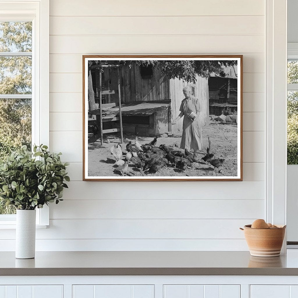 Tenant Farmers Wife Feeding Chickens Muskogee Oklahoma 1939