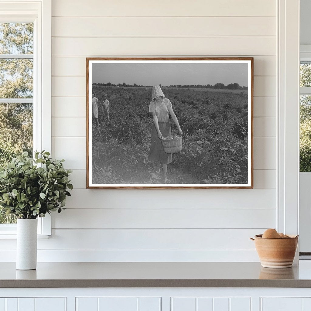 Young Girl Picking Tomatoes in Oklahoma July 1939