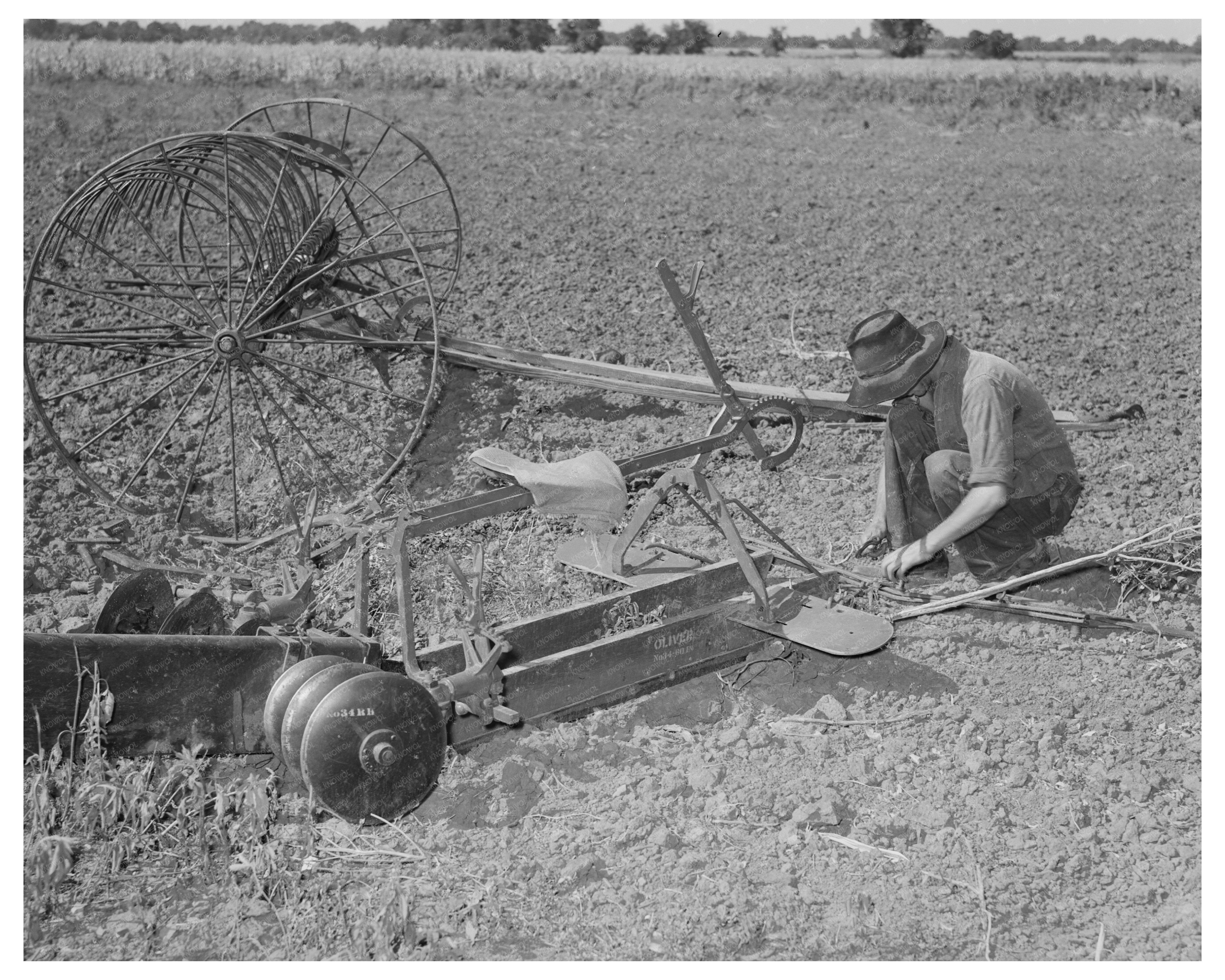 Tenant Farmers Son Operating Disc Harrow Muskogee 1939