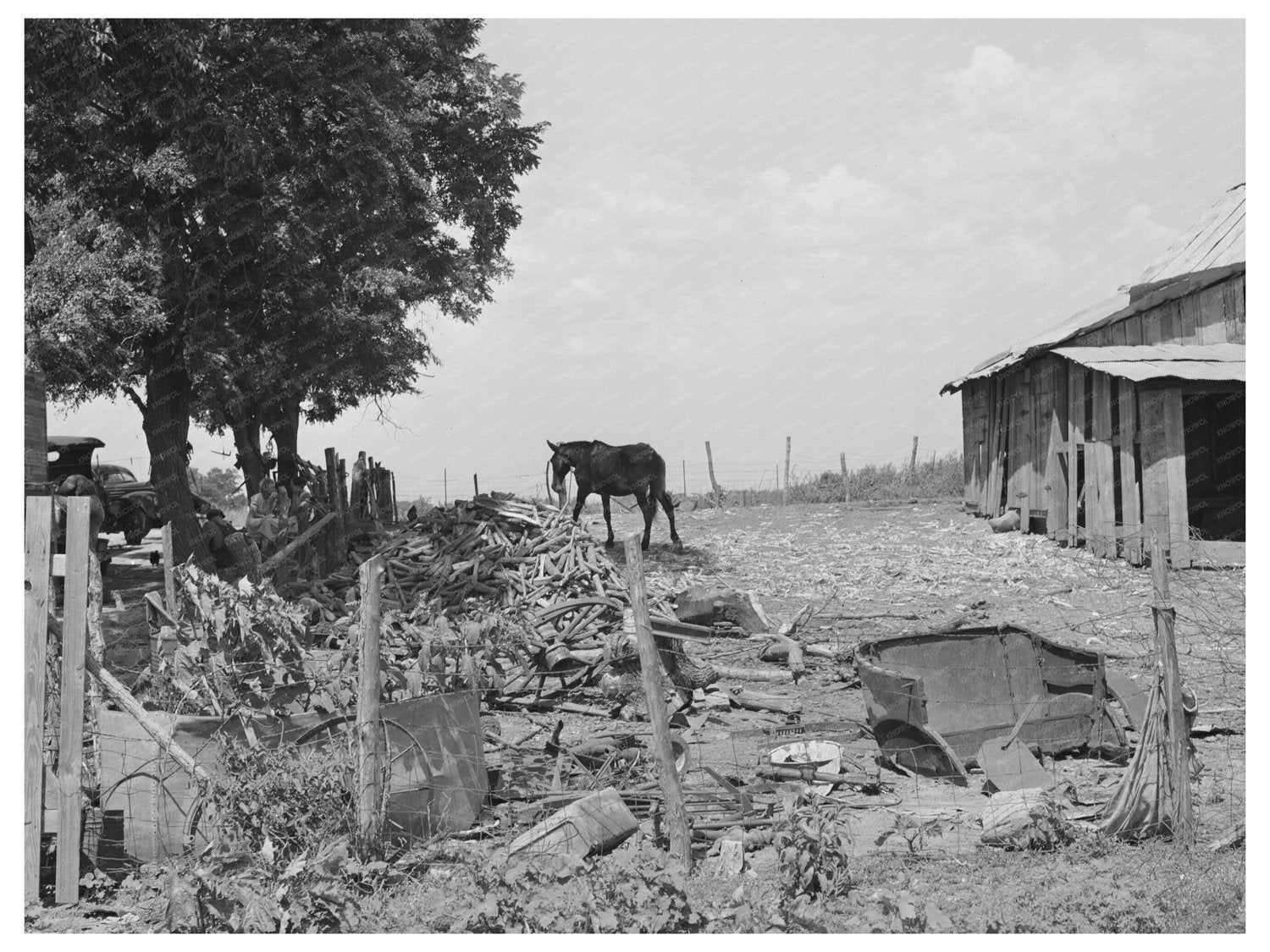Tenant Farmer Barnyard Muskogee Oklahoma July 1939
