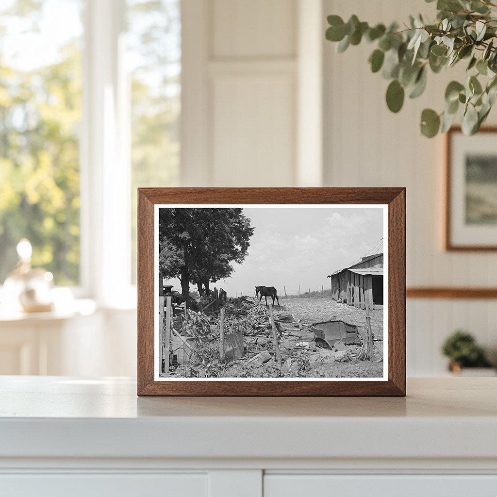 Tenant Farmer Barnyard Muskogee Oklahoma July 1939