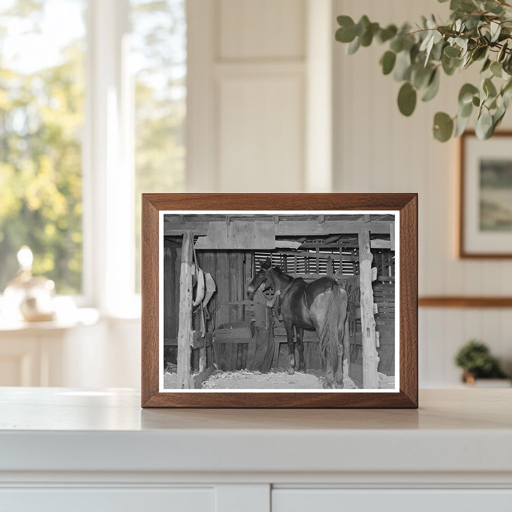 Tenant Farmers Son Harnessing Horse Muskogee 1939