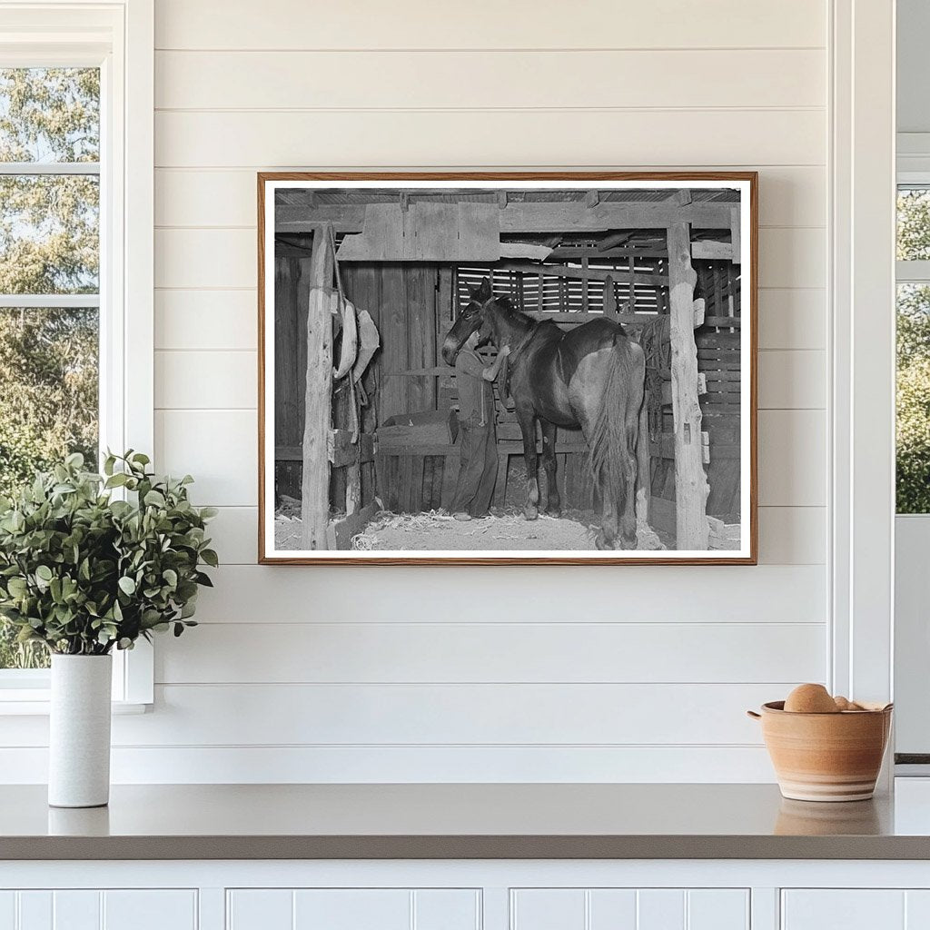 Tenant Farmers Son Harnessing Horse Muskogee 1939