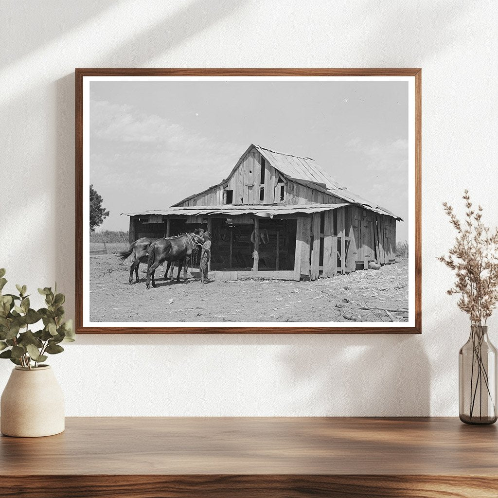 Tenant Farmer Barn Muskogee Oklahoma July 1939
