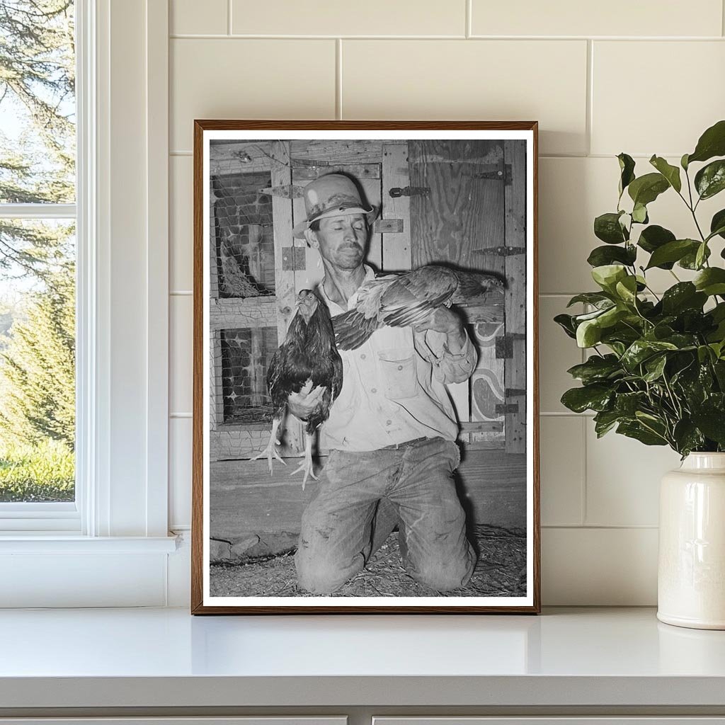Oklahoma City Camp Resident with Fighting Cocks 1939