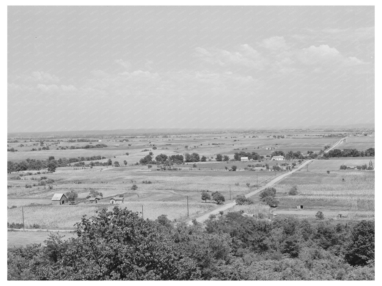 Muskogee County Farm Landscape July 1939