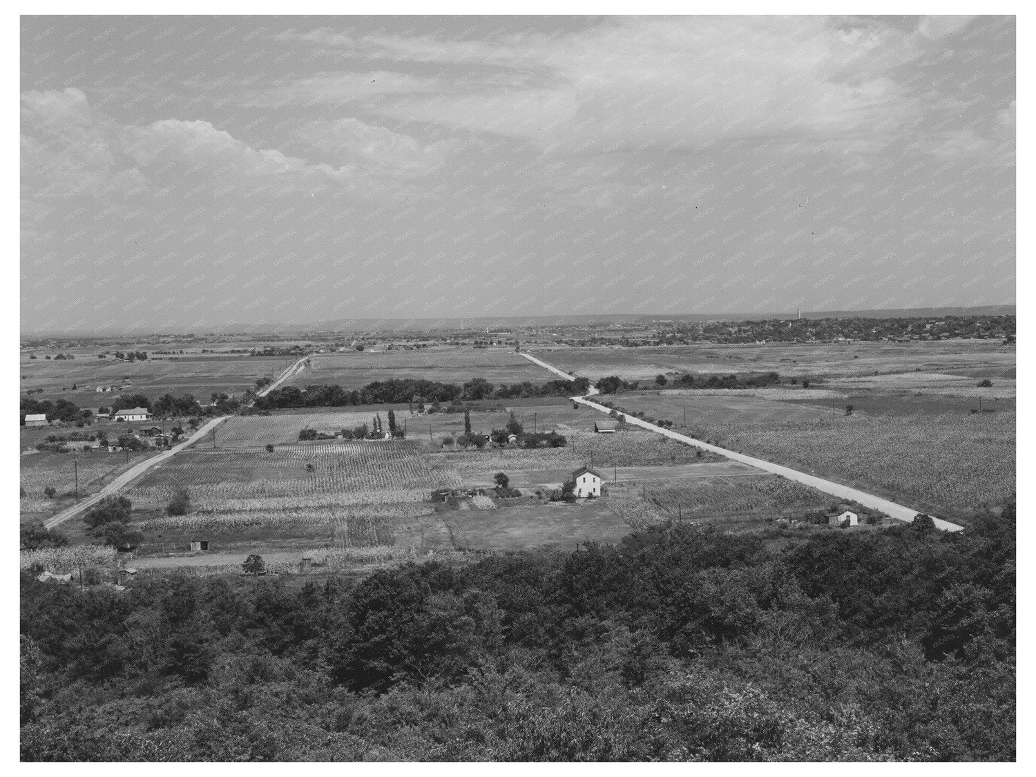 Muskogee Oklahoma Farm Landscape July 1939