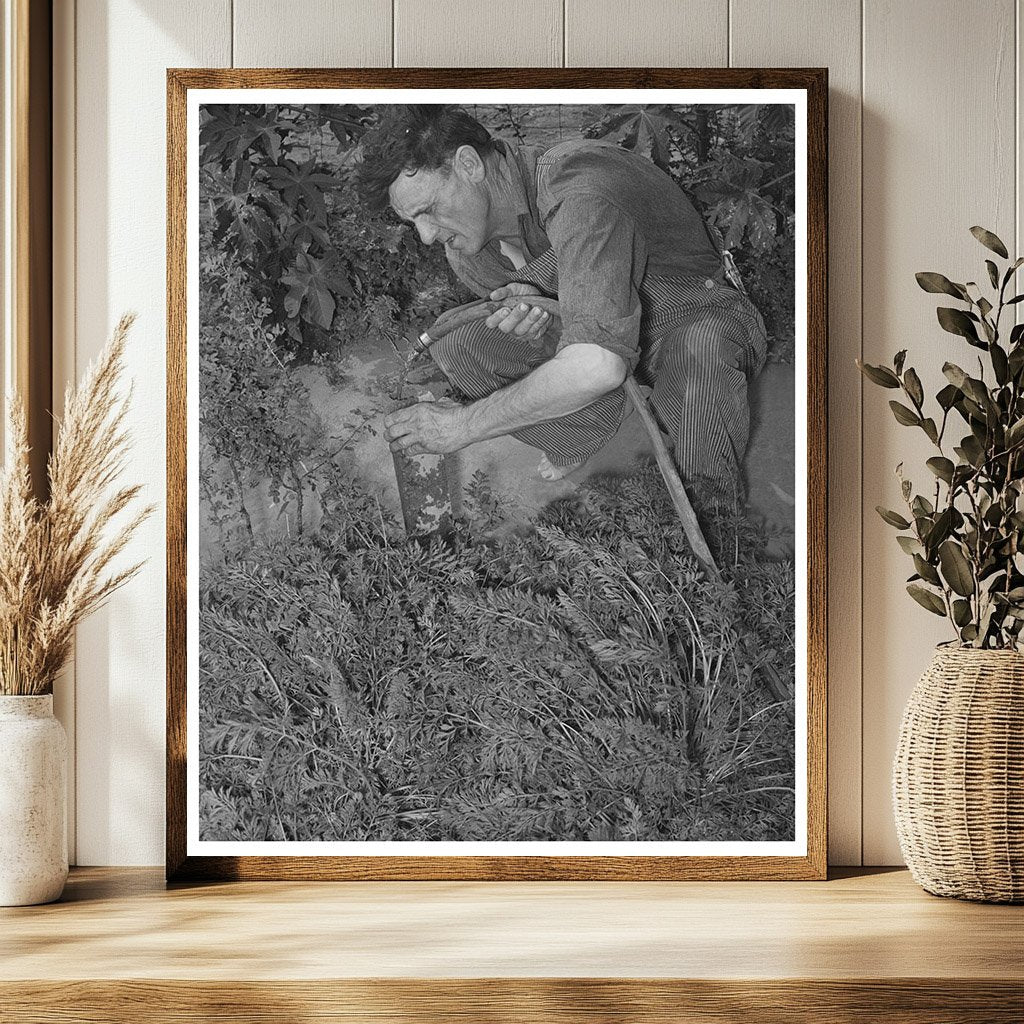 Mr. Schoenfeldt Tending Tile Garden Kansas 1939