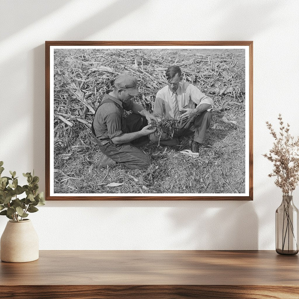 Farm Security Administration Inspecting Silage 1939