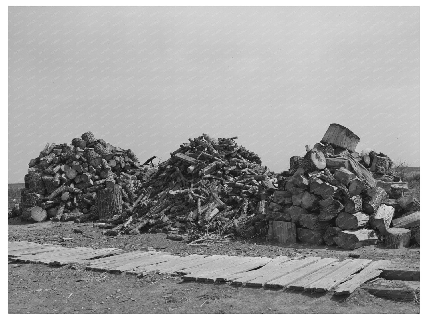 Woodpile on Farmstead in Sheridan County Kansas August 1939