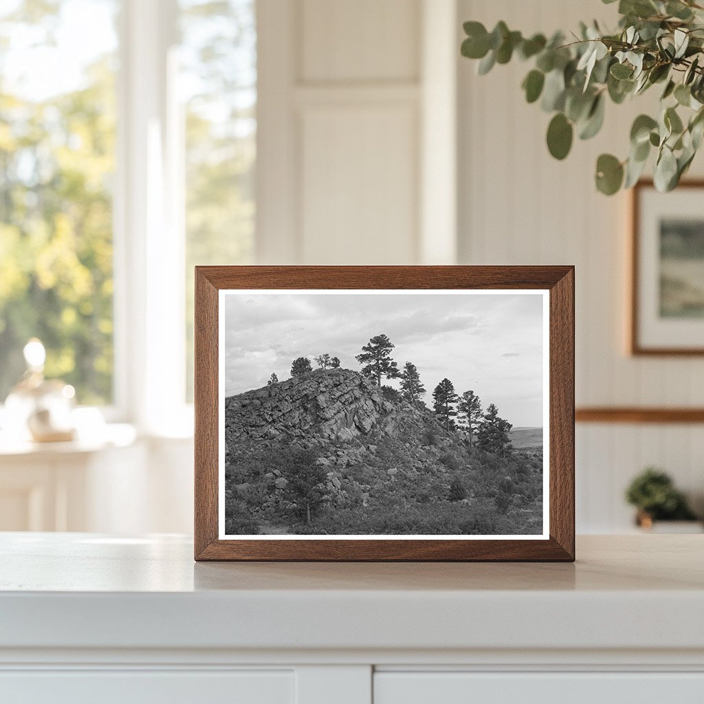 Vintage 1939 Mountain Scene Near Capulin New Mexico