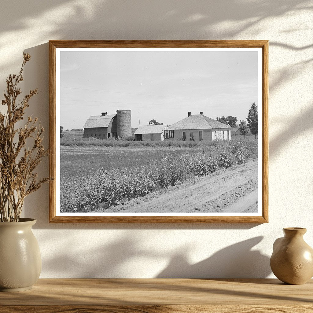Ernest W Kirk Jr Farmstead Near Ordway Colorado 1939